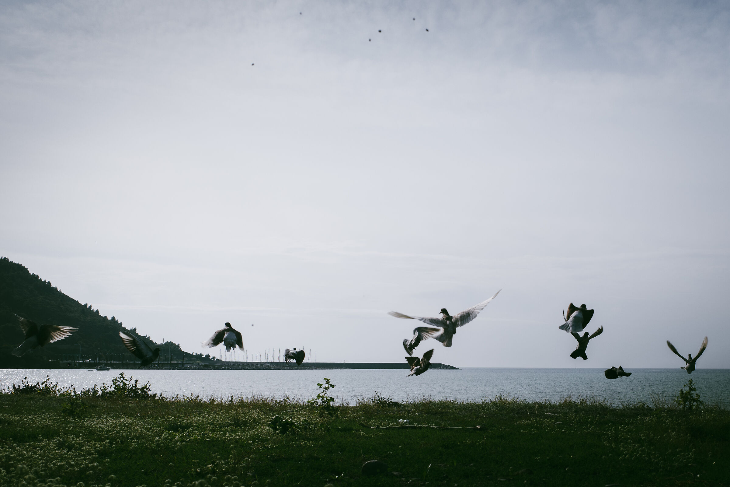 Untitled Photo