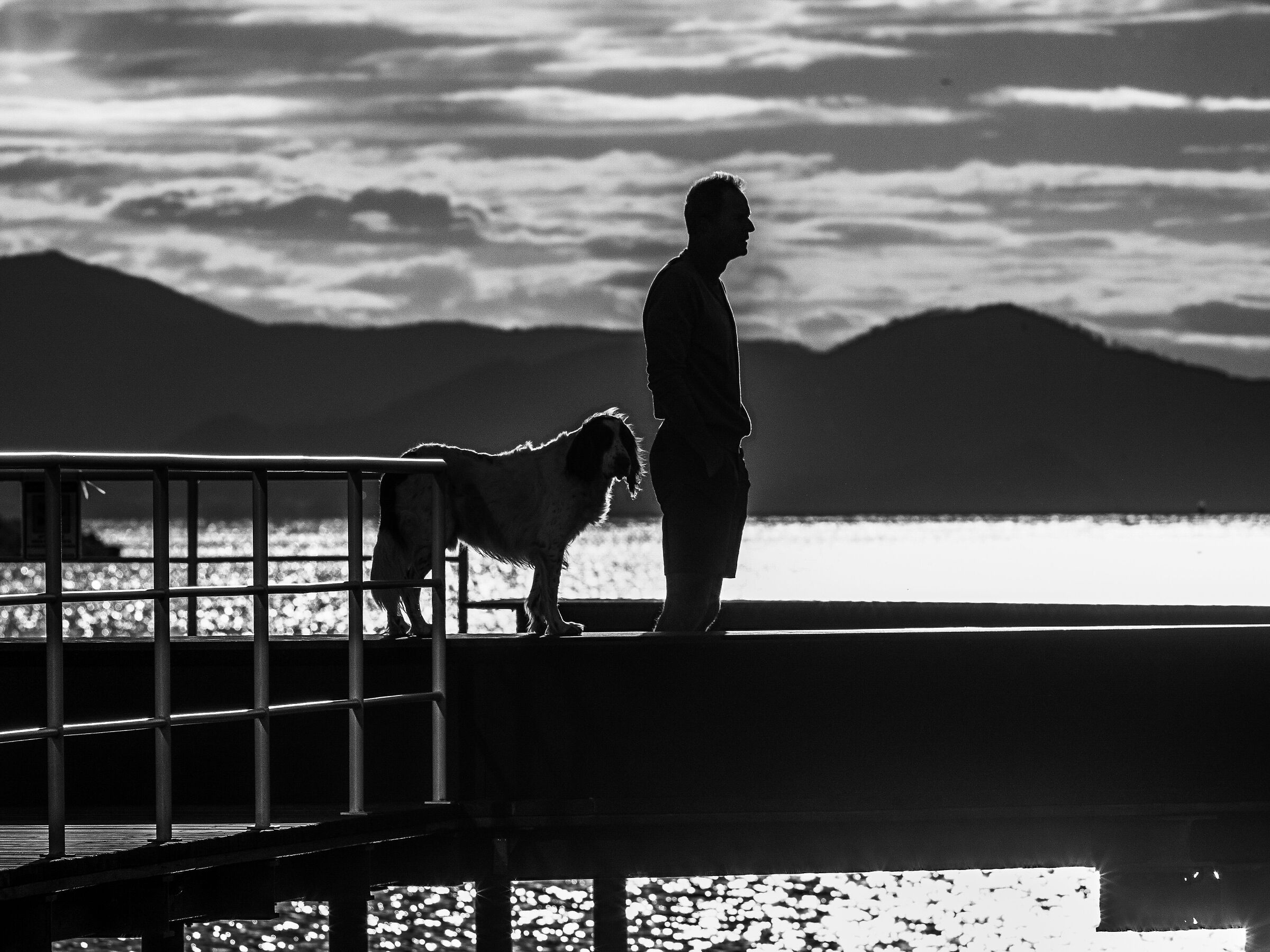 Il miglior amico dell'uomo (b&w)