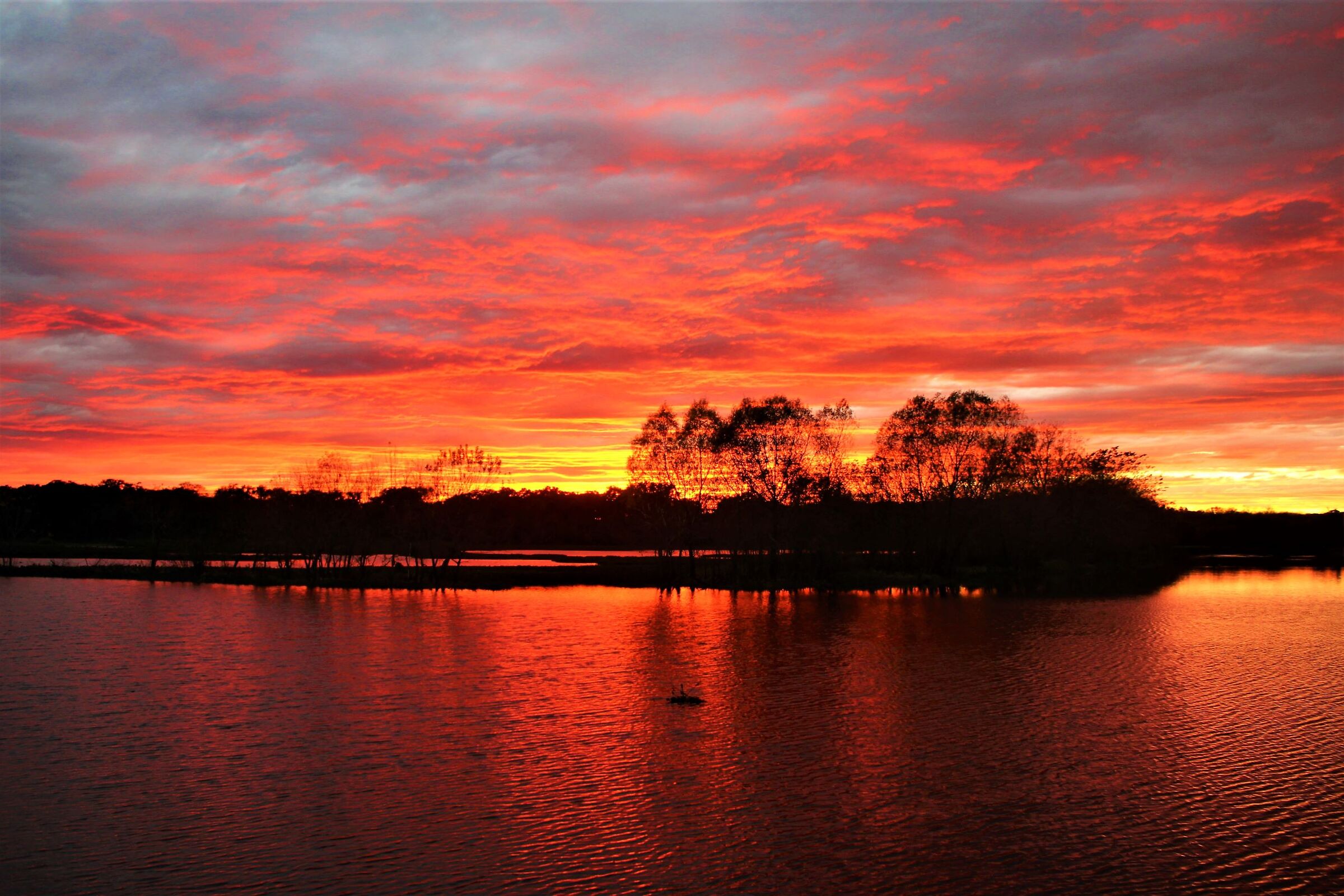 Sunsets in Brazos Bend