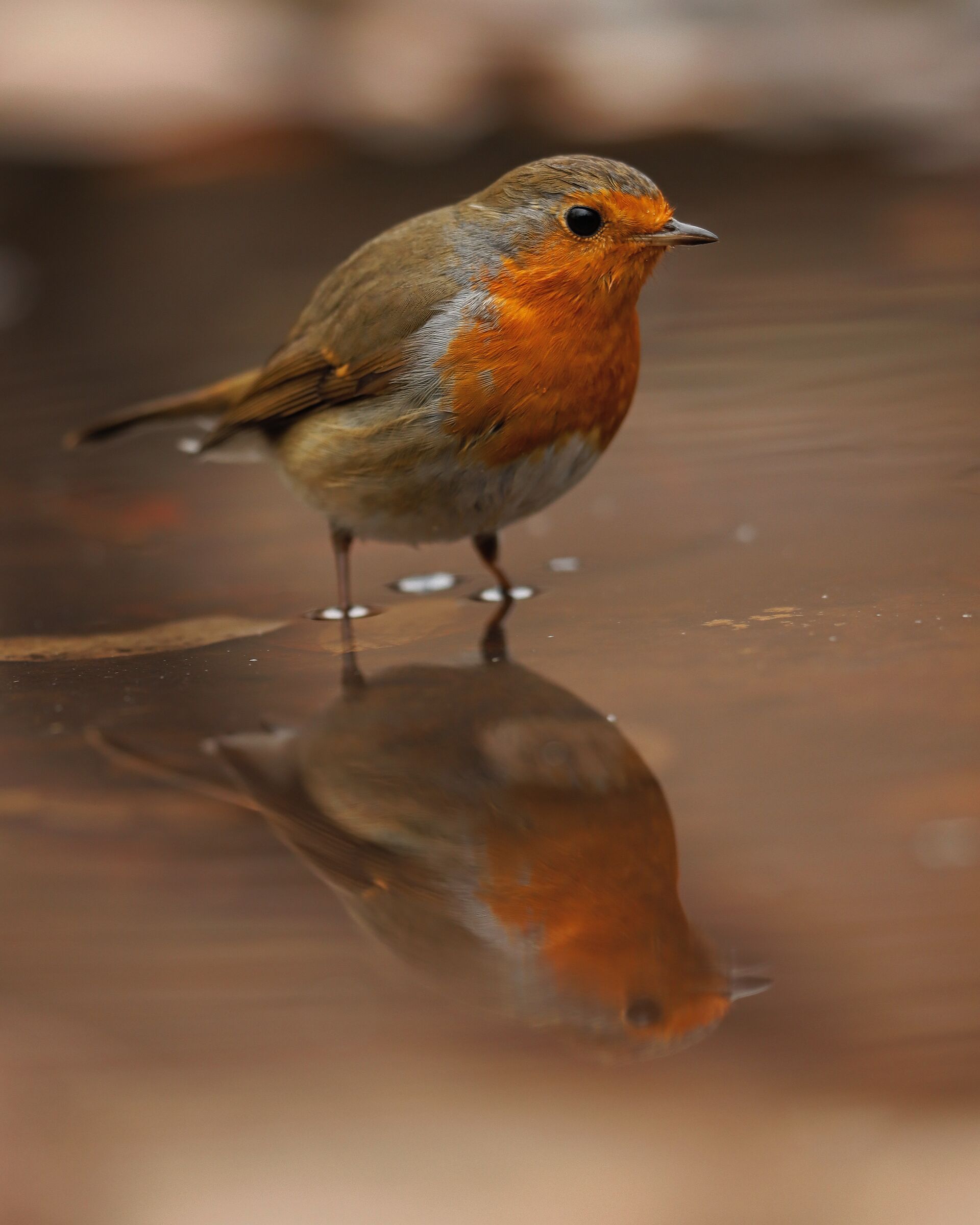 Dai un'occhiata allo specchio ...