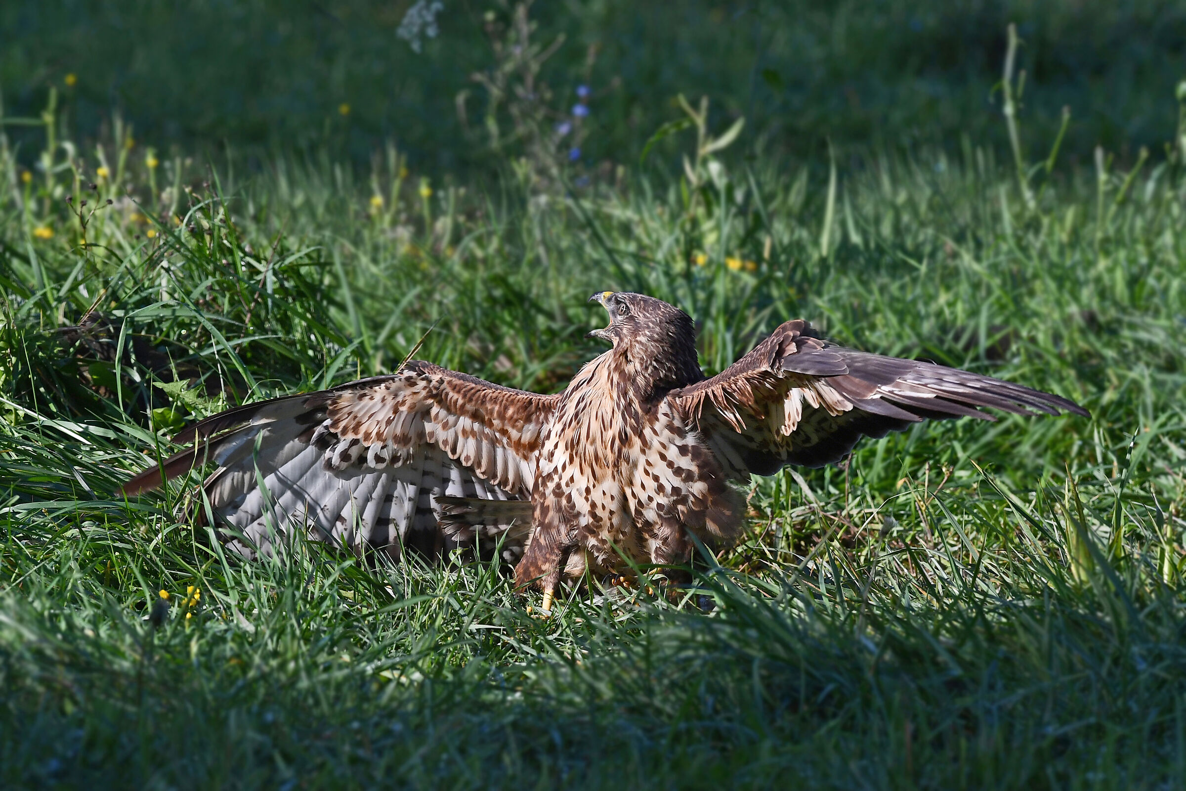 Who turned on the light?