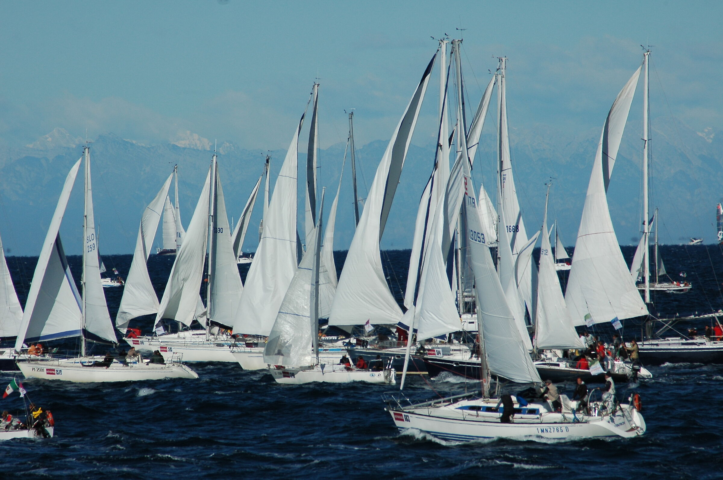 Barcolana 2011
