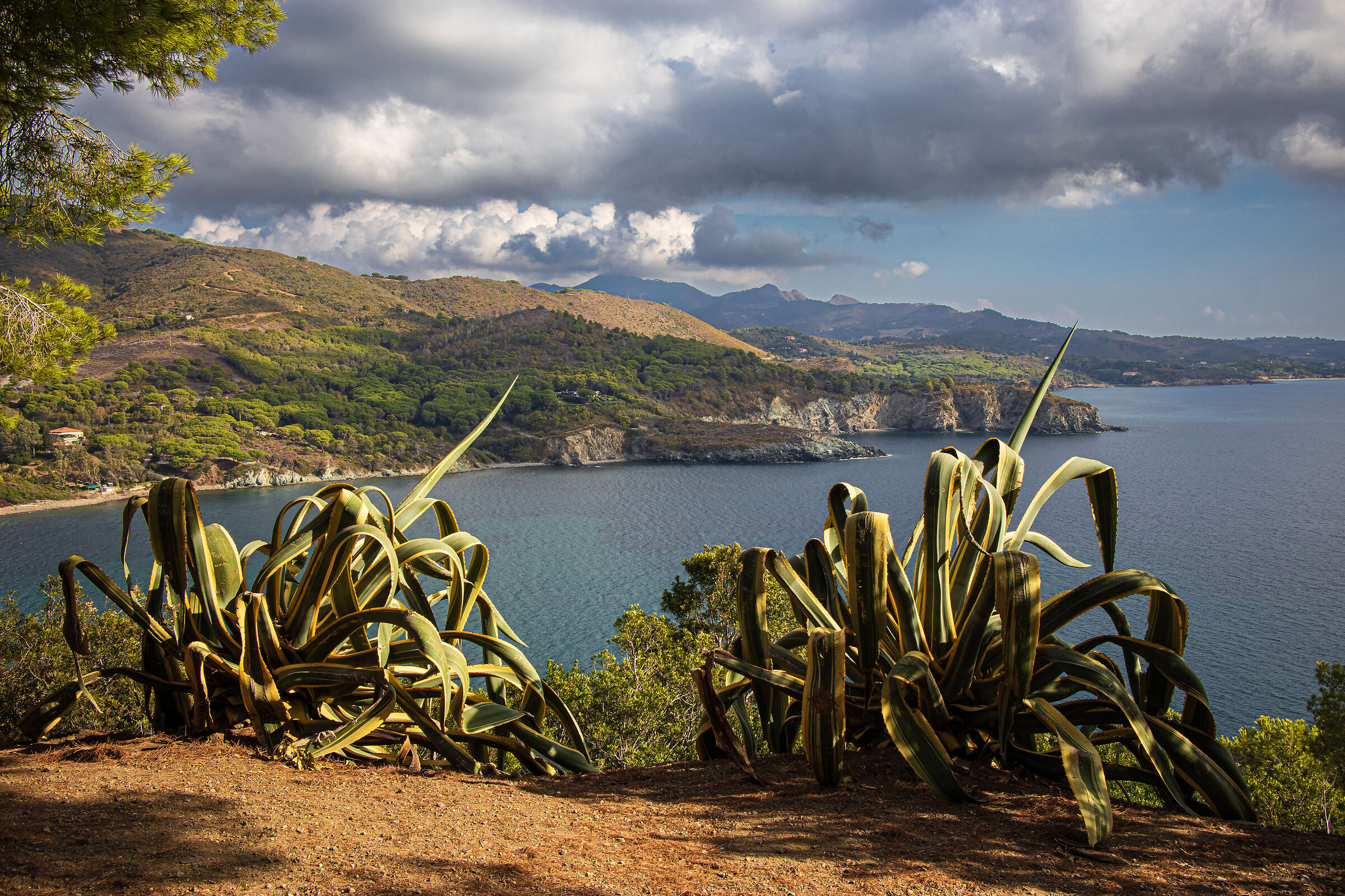 Giornata di fine Ottobre all'Elba