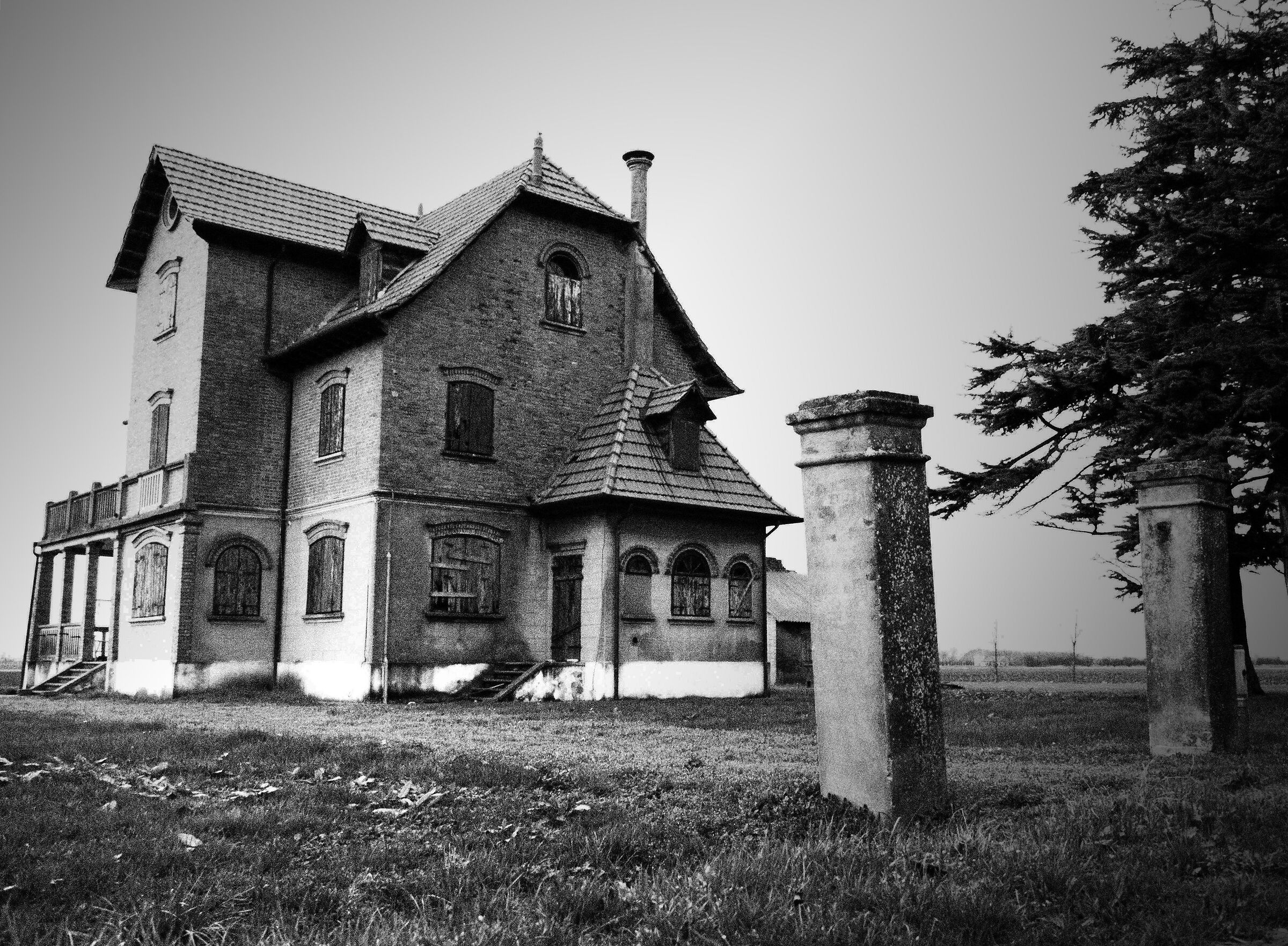 Untitled Photo