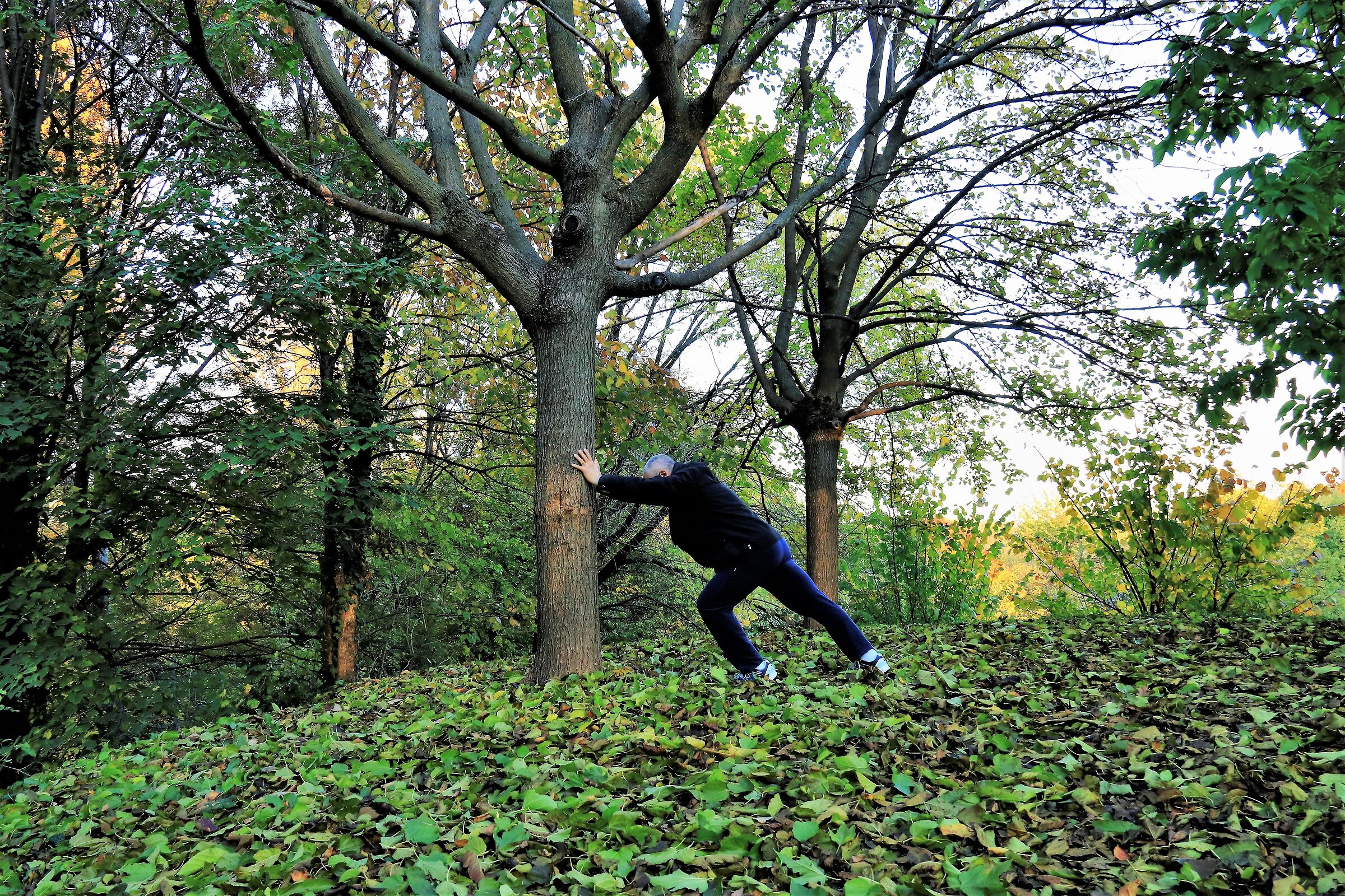 Stretching nel parco