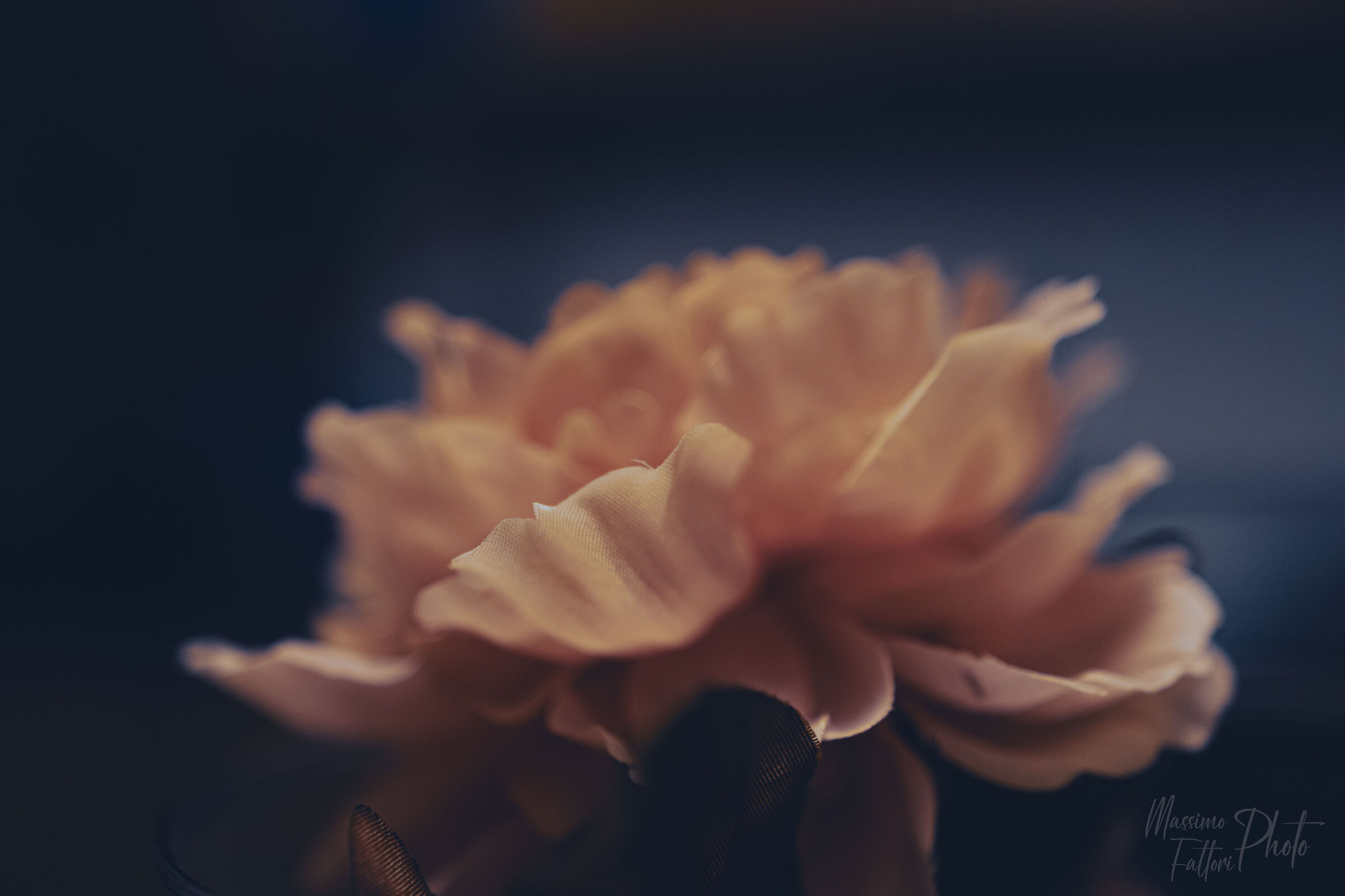 delicatezza floreale