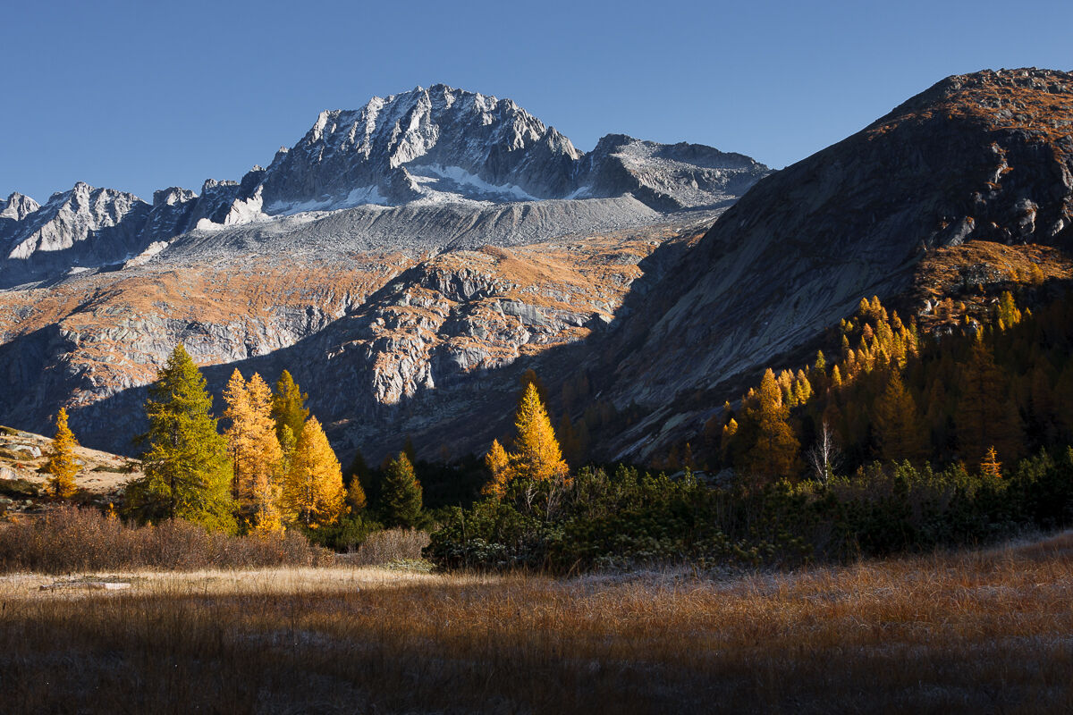 At the foot of the Carè ...