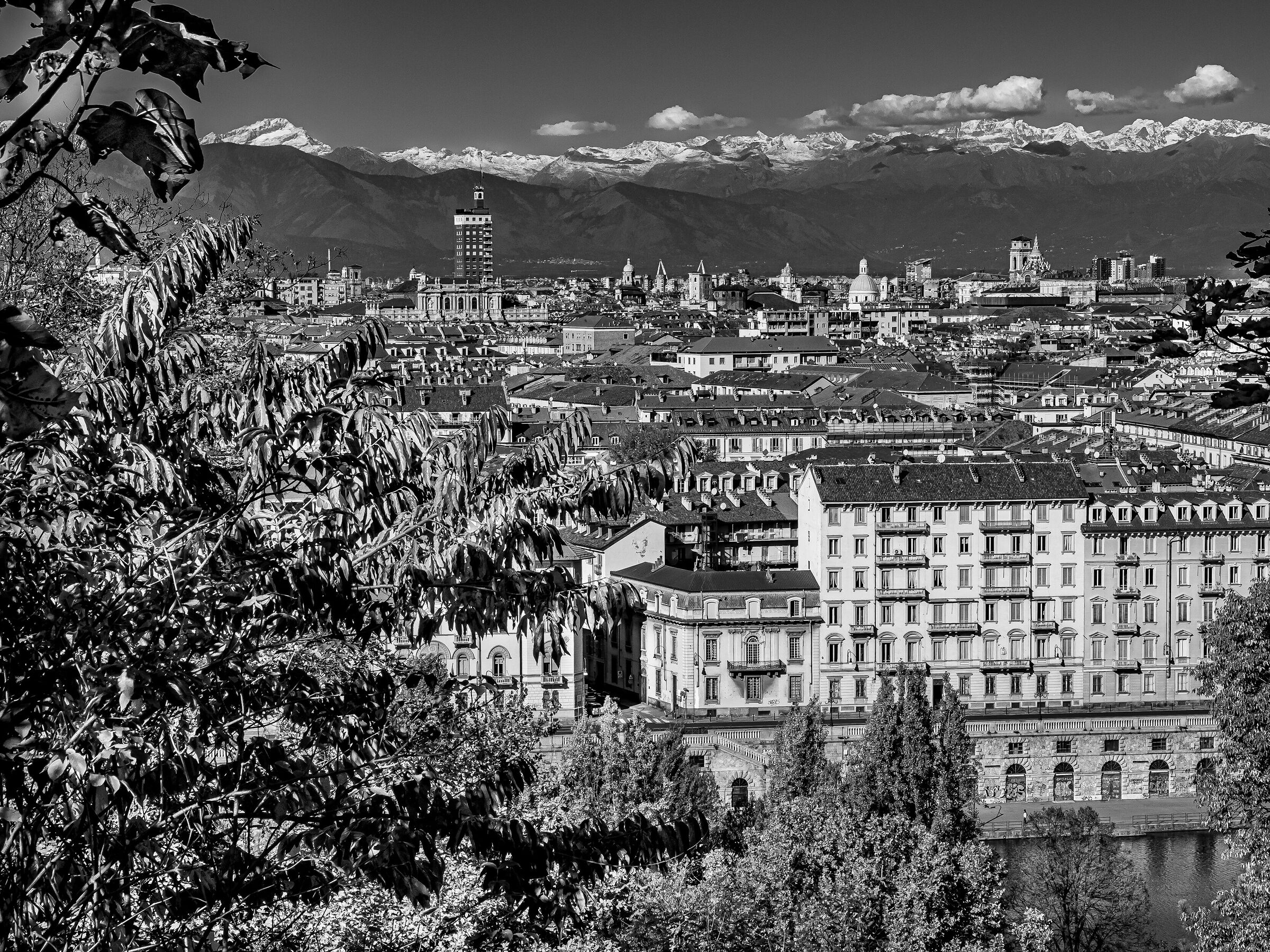 Turin in b / w without Mole Antonelliana....
