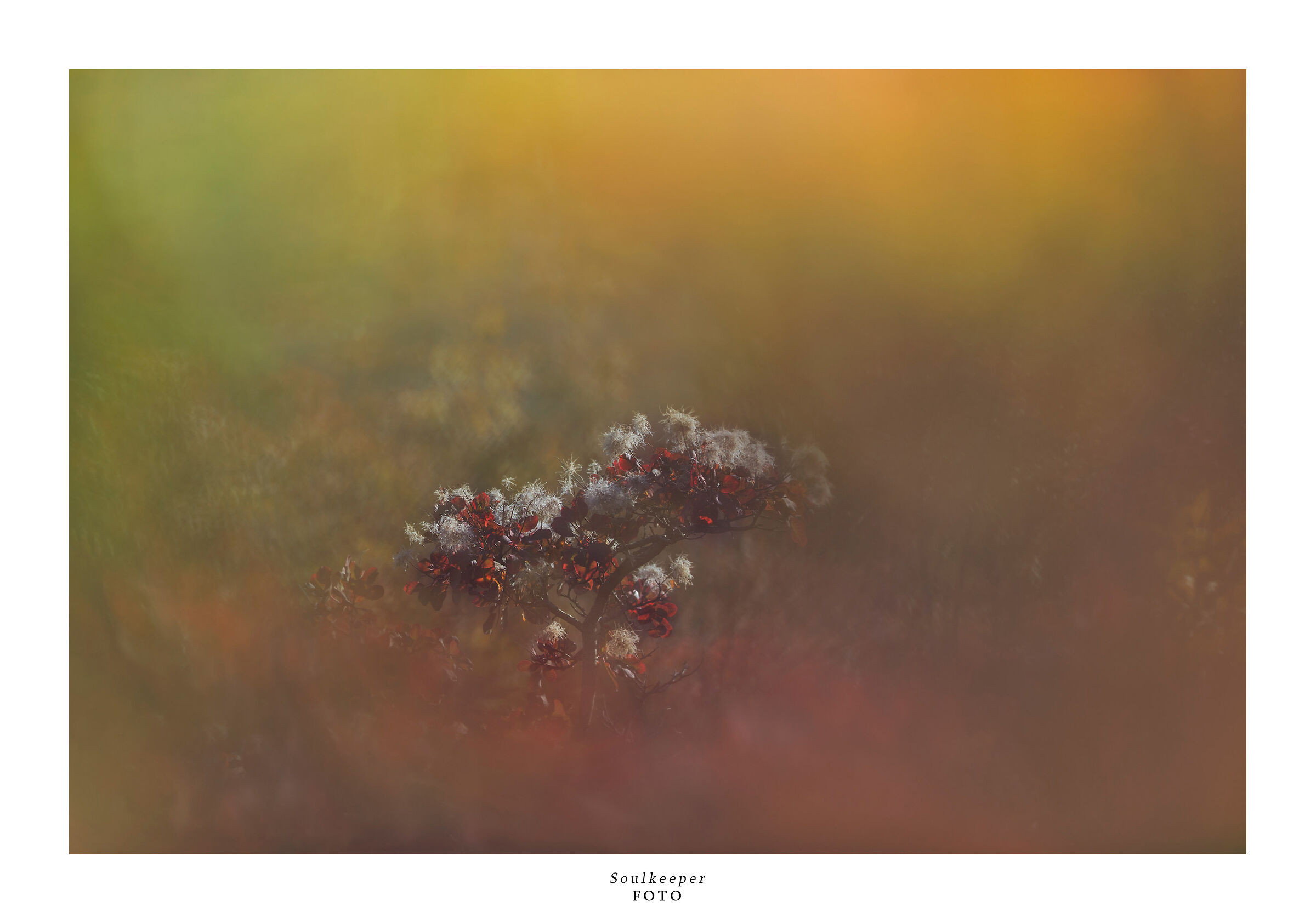 Natural composition.