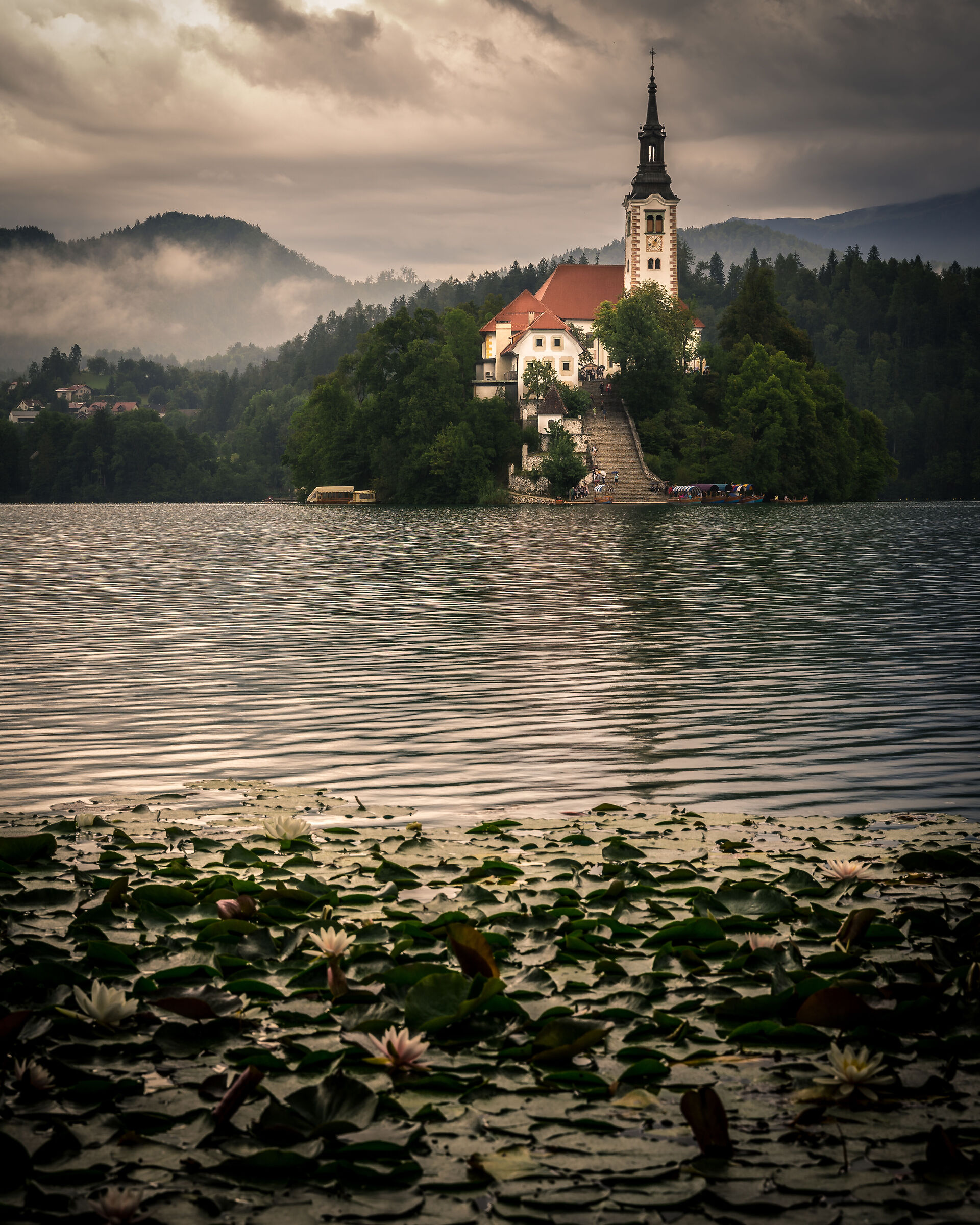 bled 2