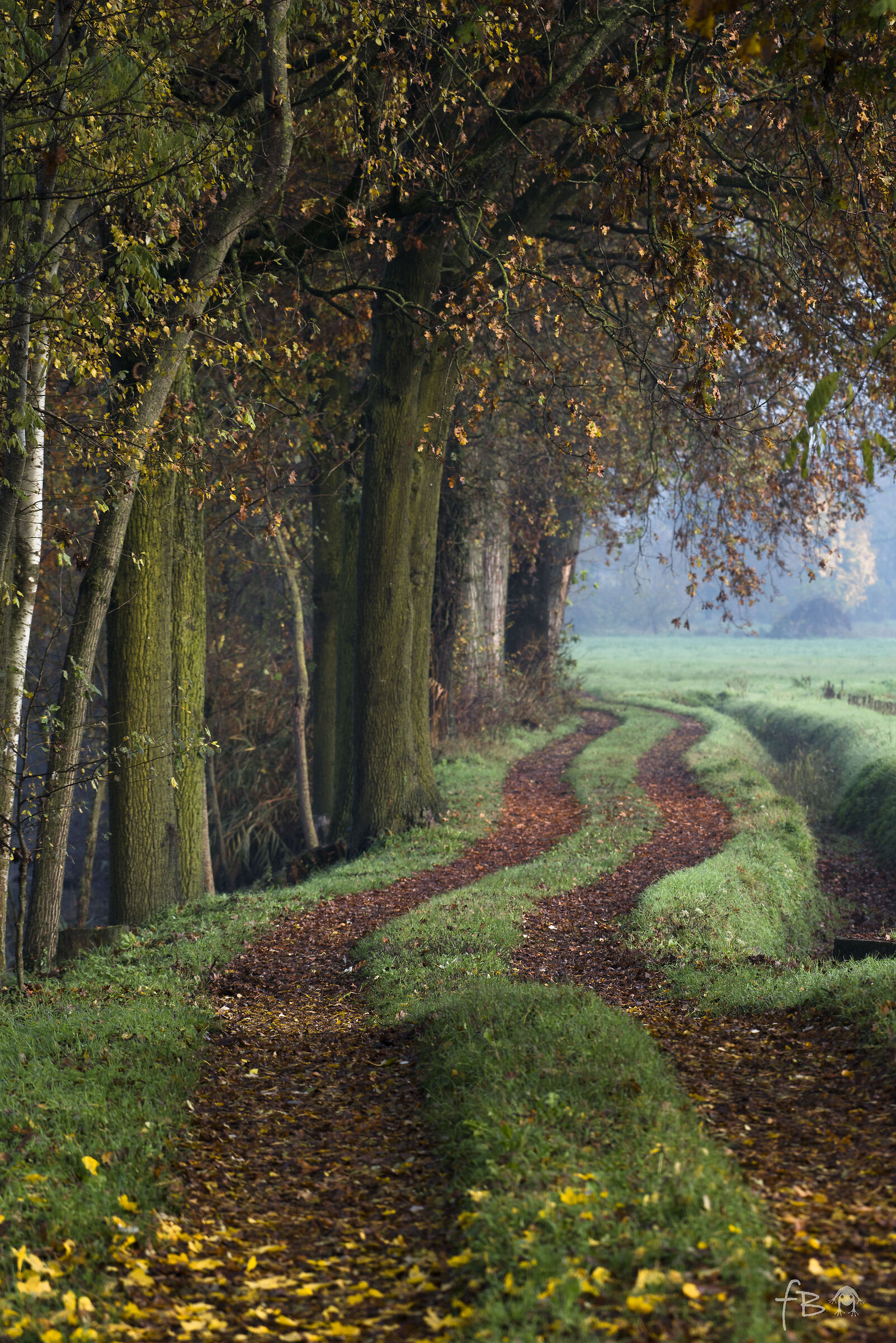 La strada silenziosa