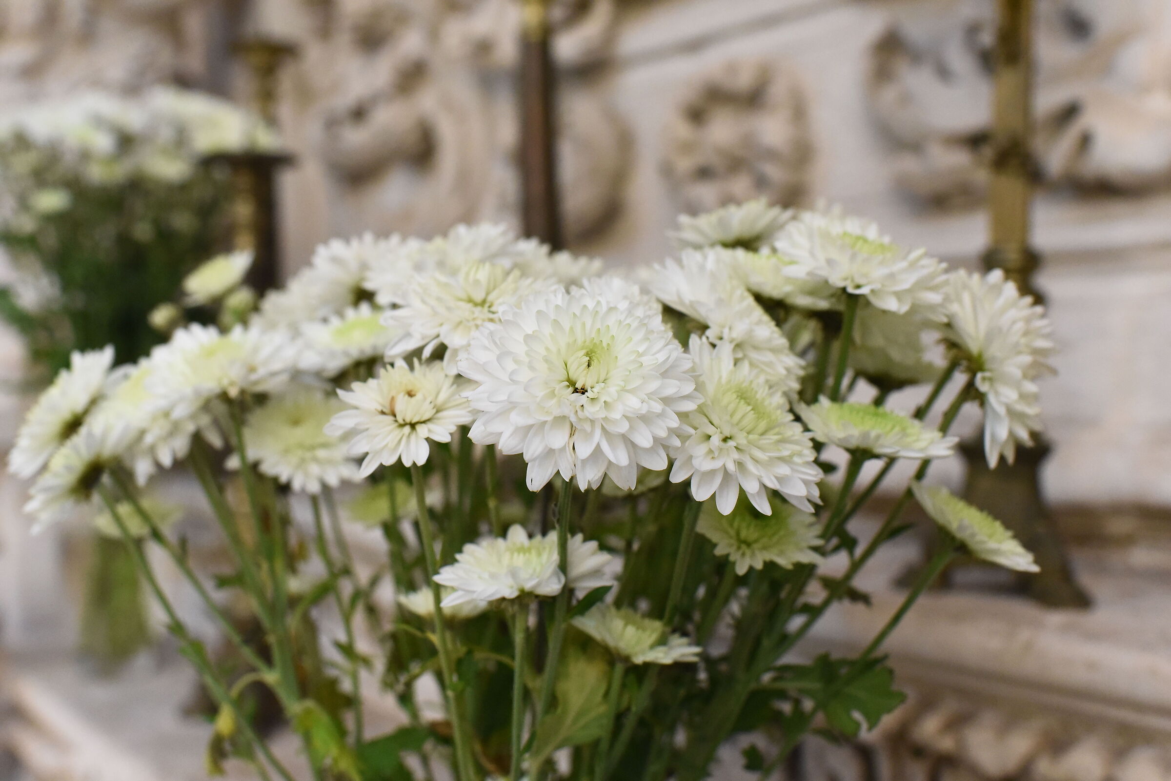 ISO 8.000 / Nikon- Otus Zeiss