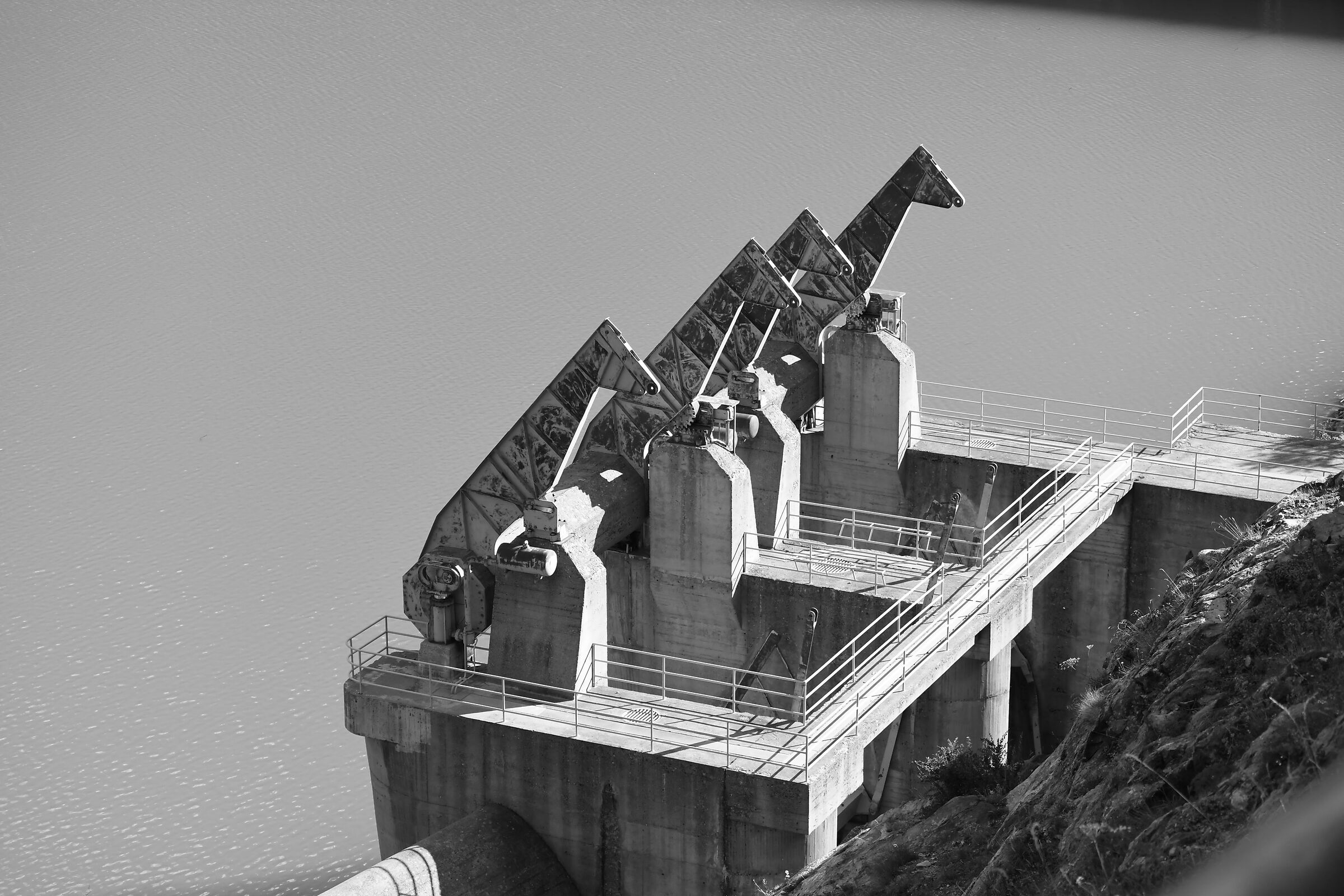 Come Suricati nella Prateria...