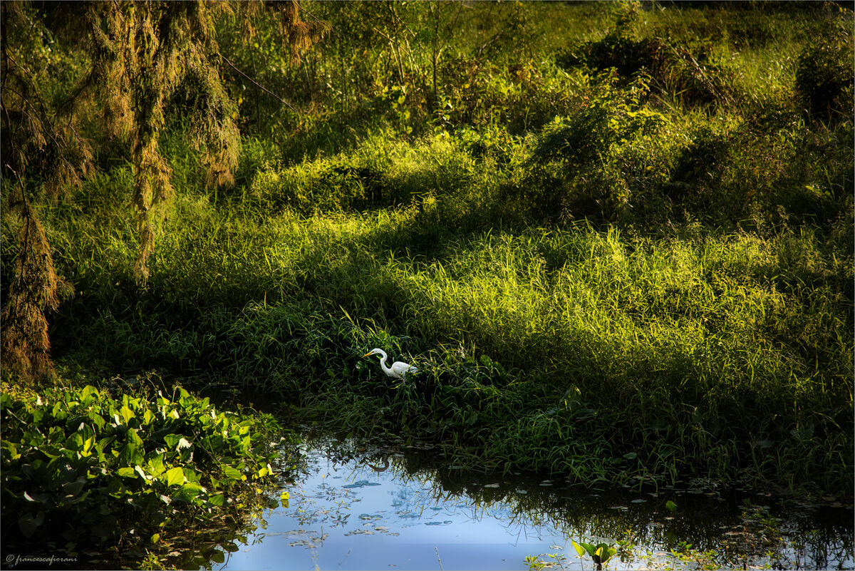 un luogo incontaminato