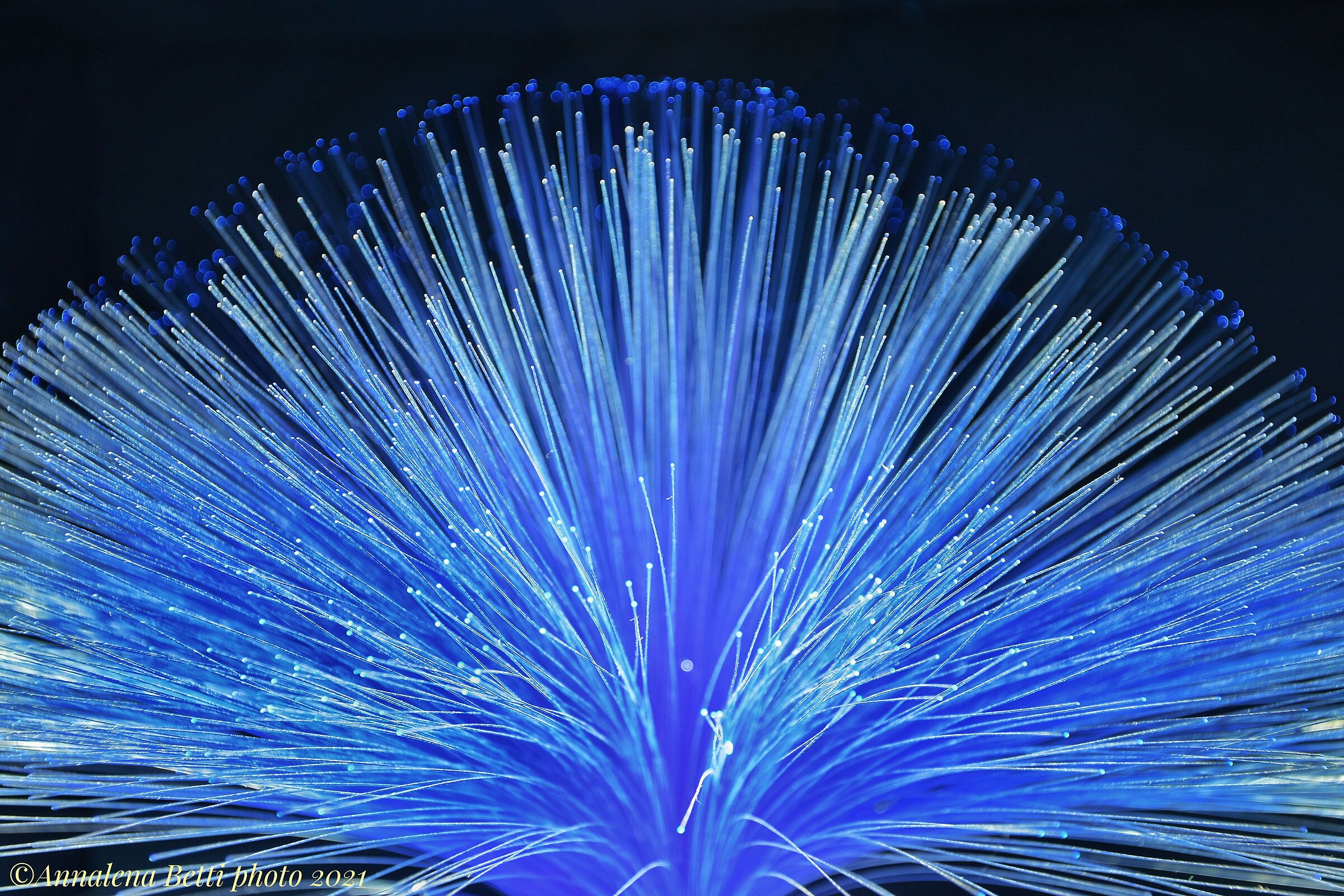 Still Life experiments with blue ray lamp