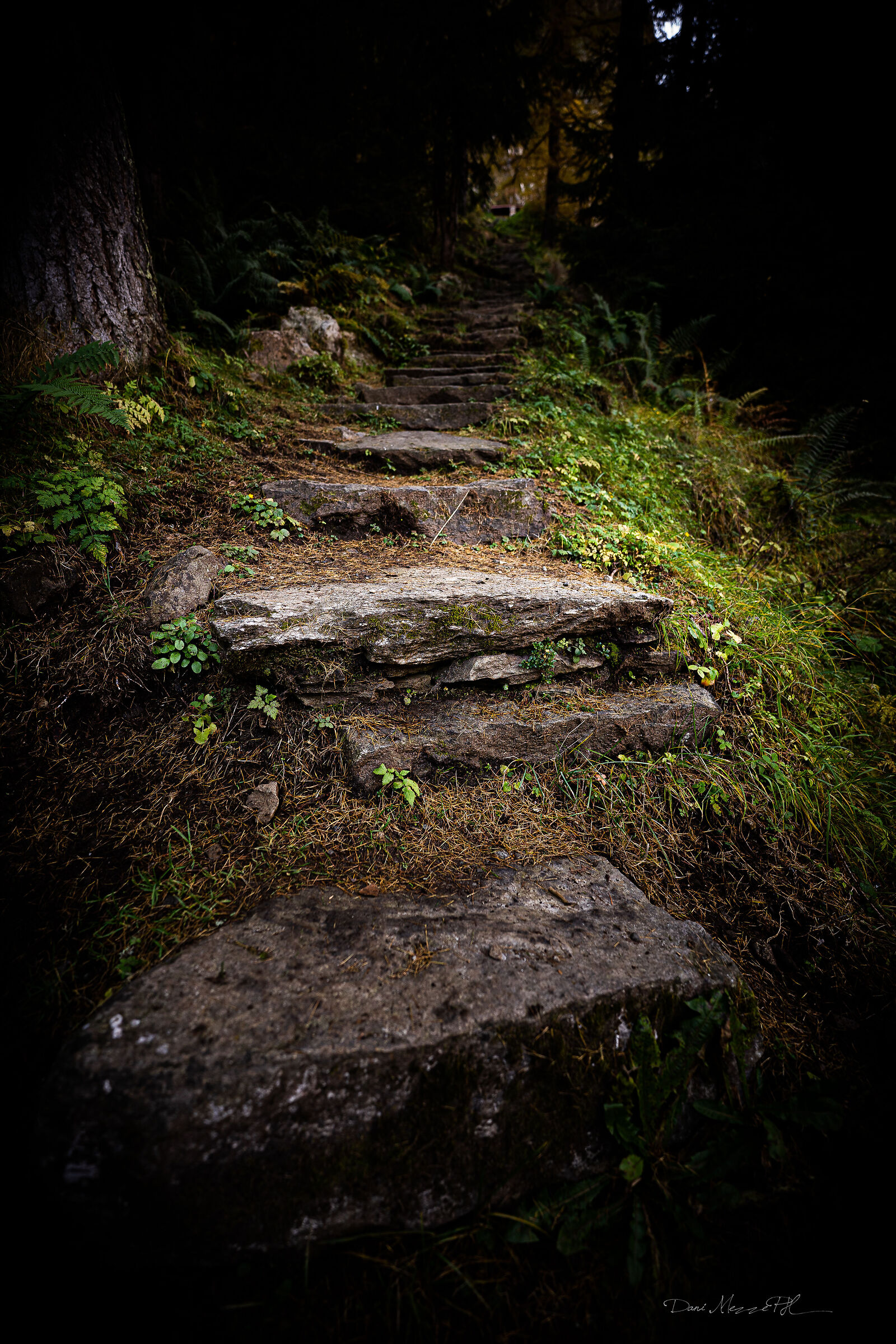 Old steps