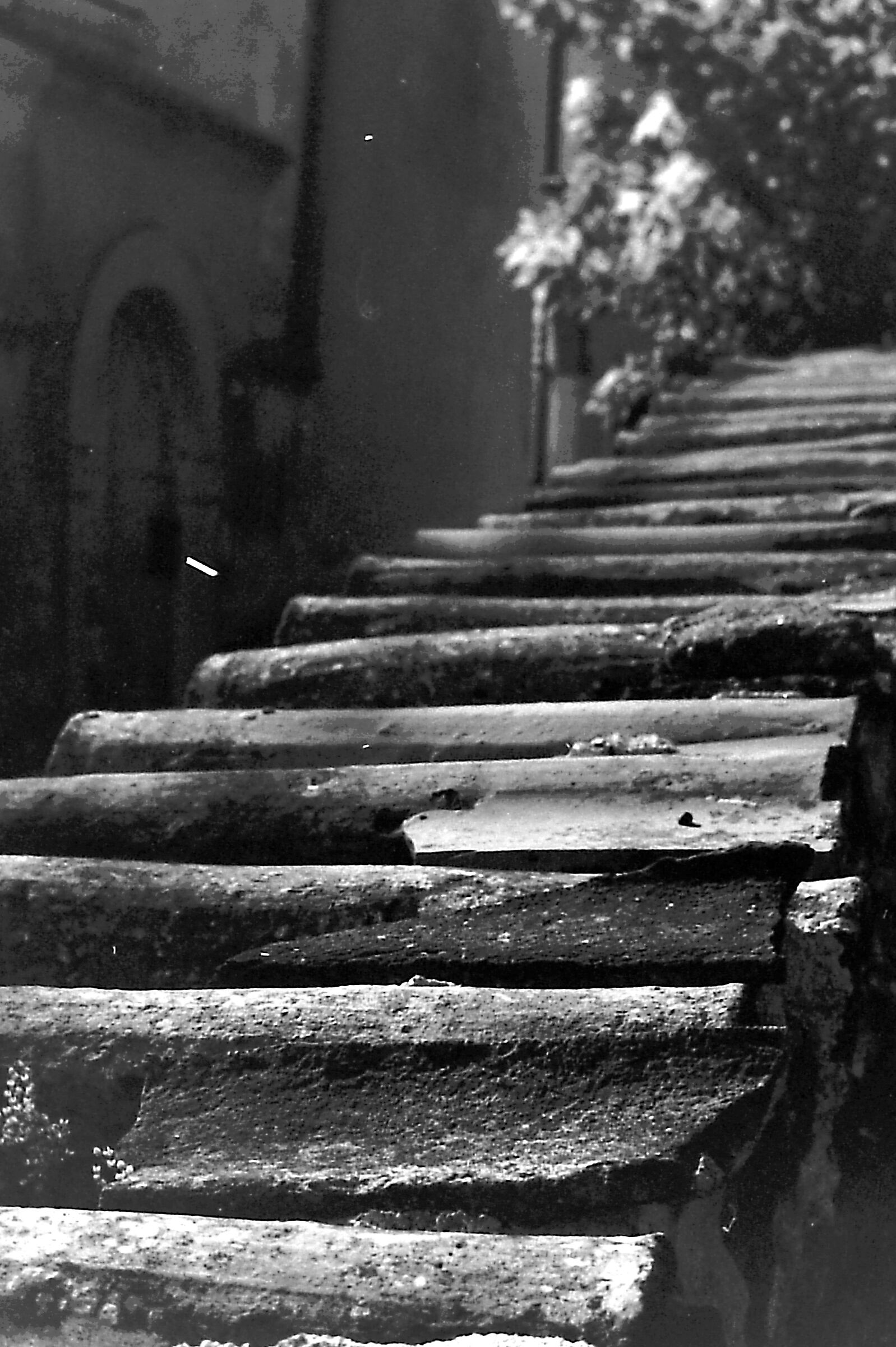 Coppi su muro antico Ferrania Condor 2.8