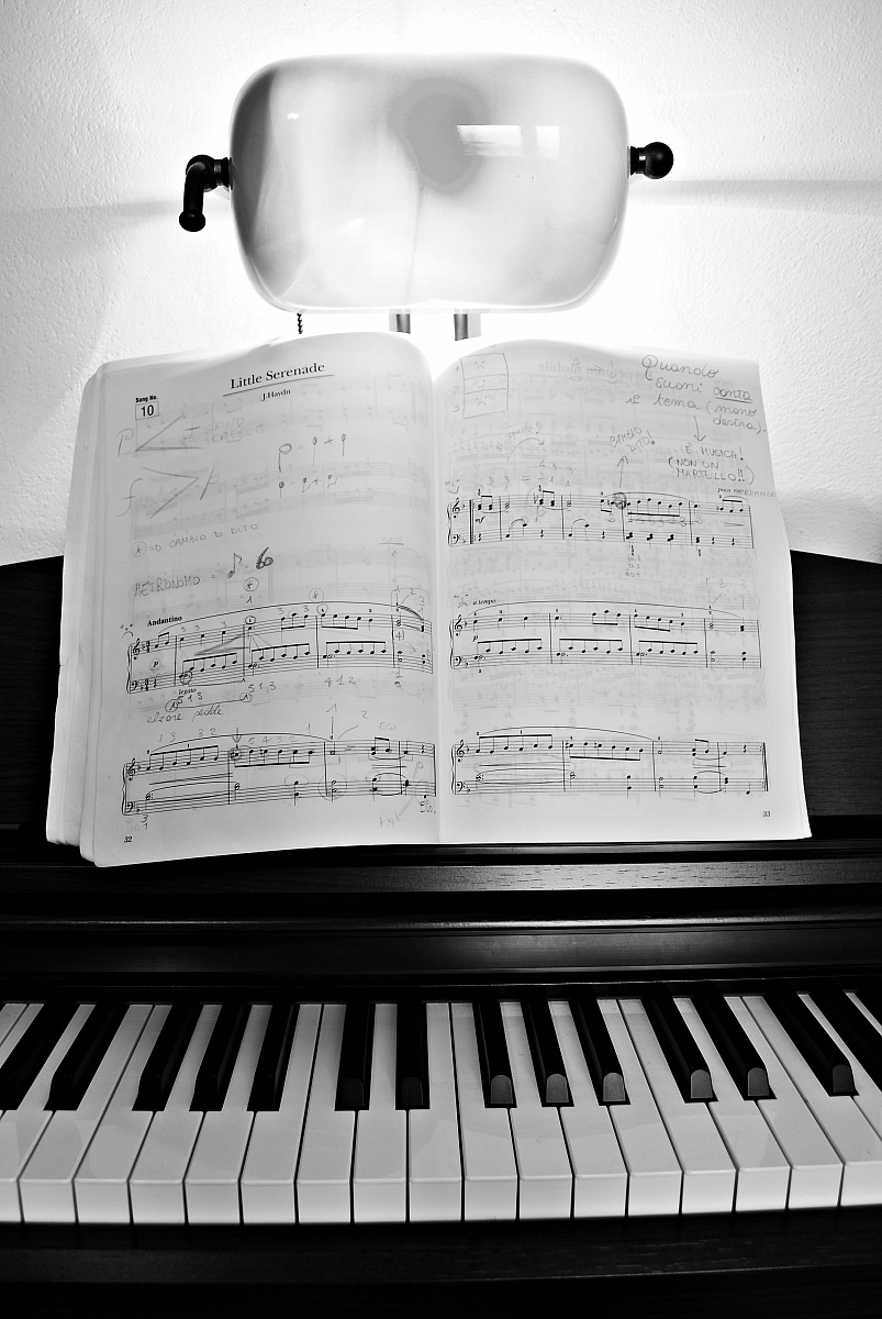 J. Haydn - Little serenade