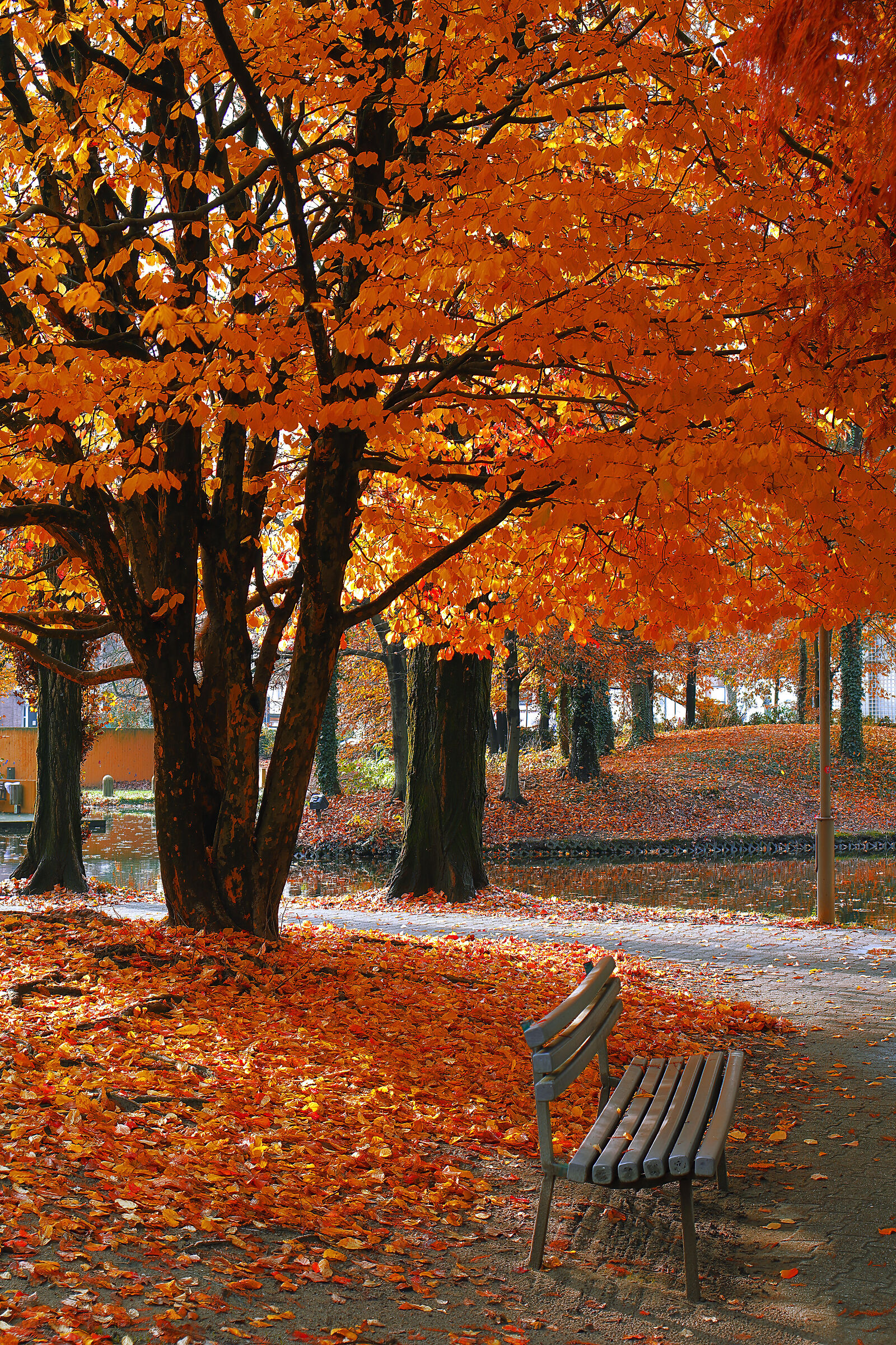 " The Sound of Silence "