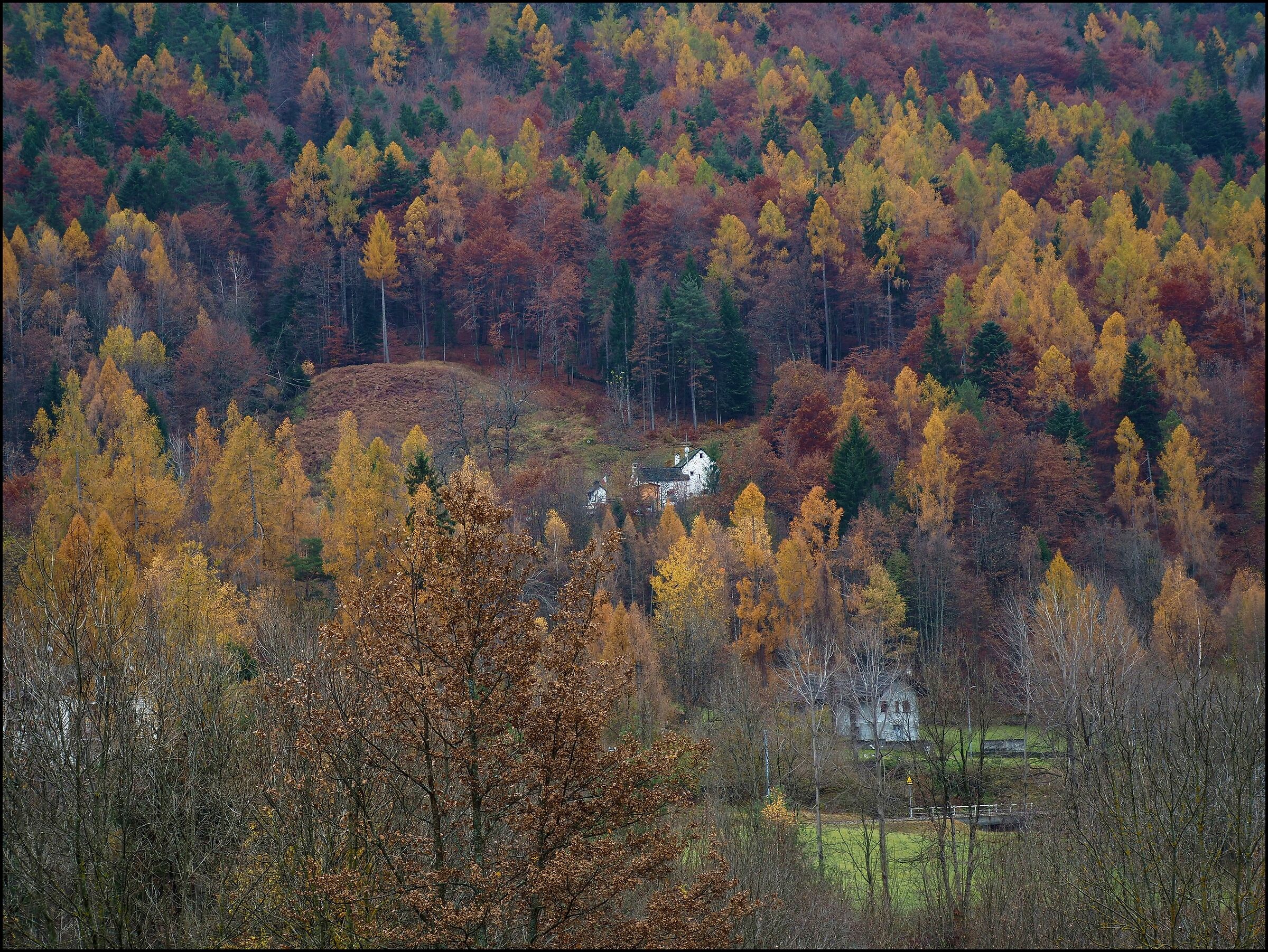 Hidden in a color palette