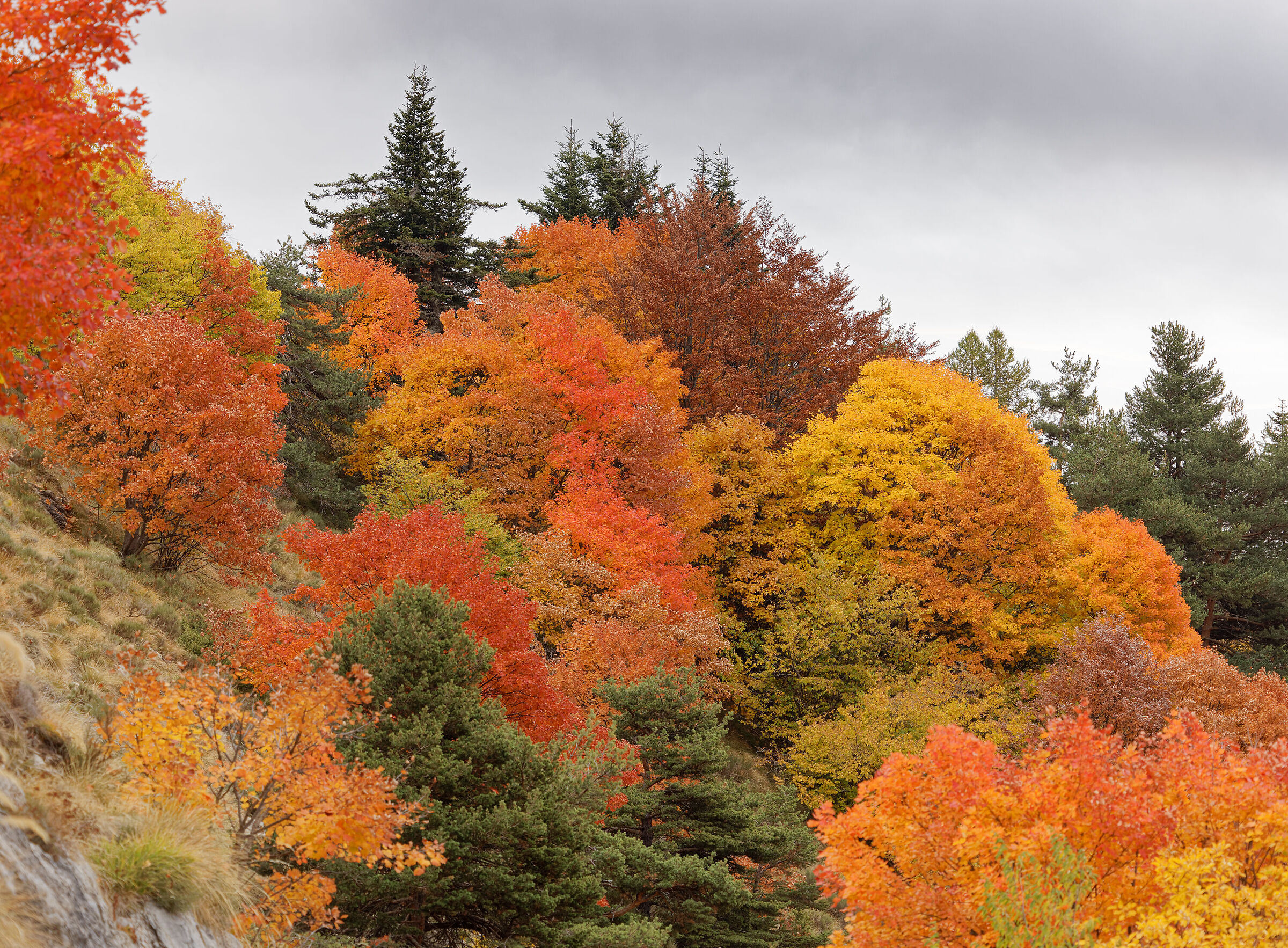 Slopes Carmo Gerbontina | October 2021