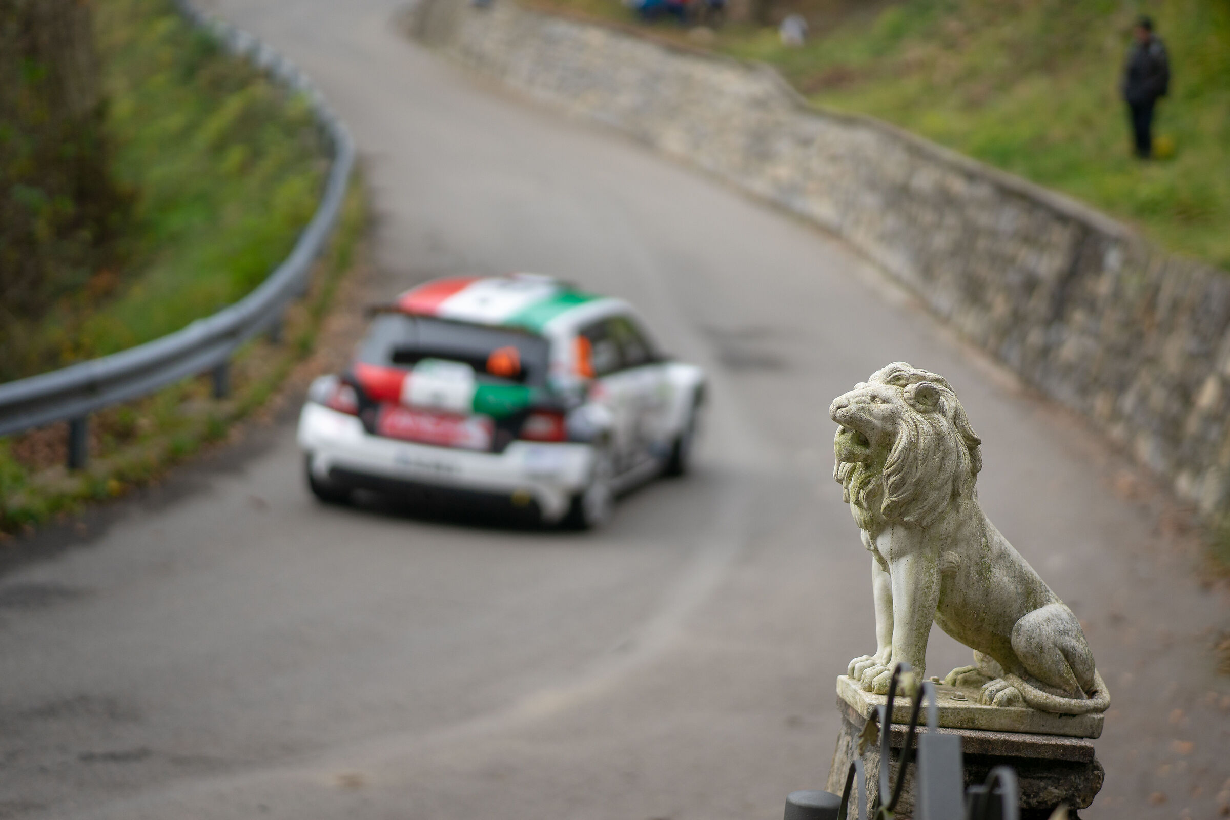 indifferenza statuaria al wrc