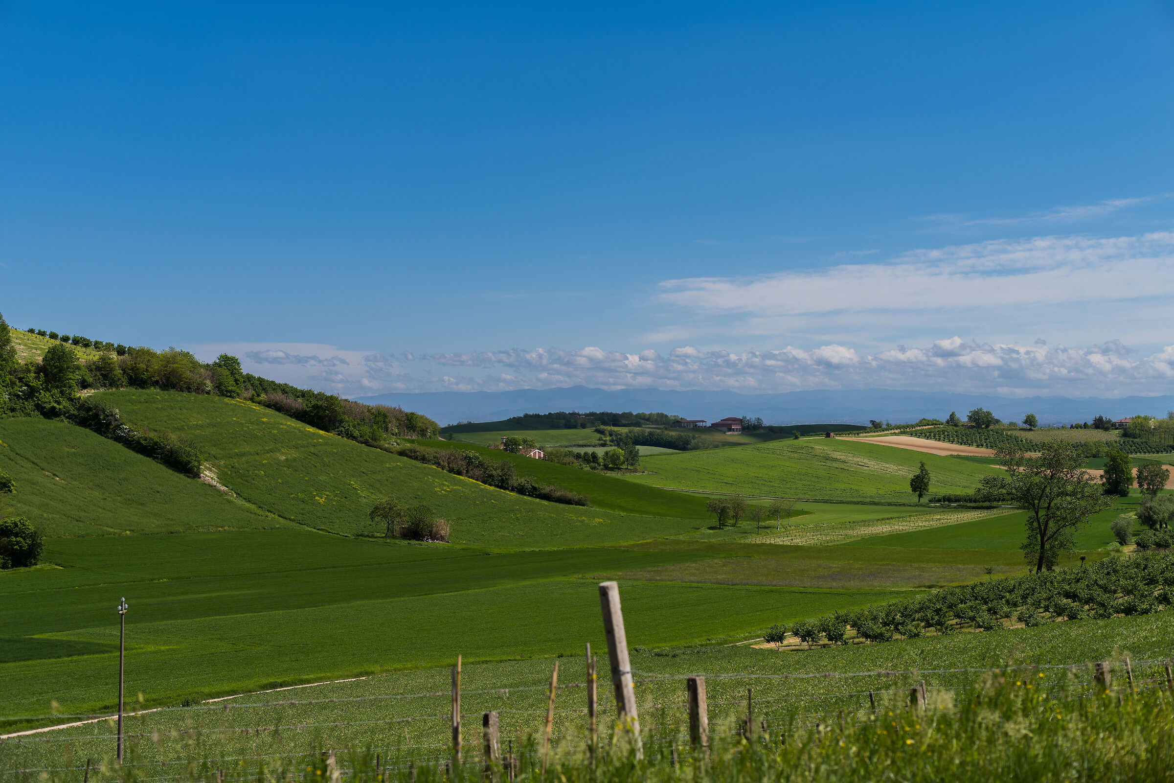 Monferrato (Italy)