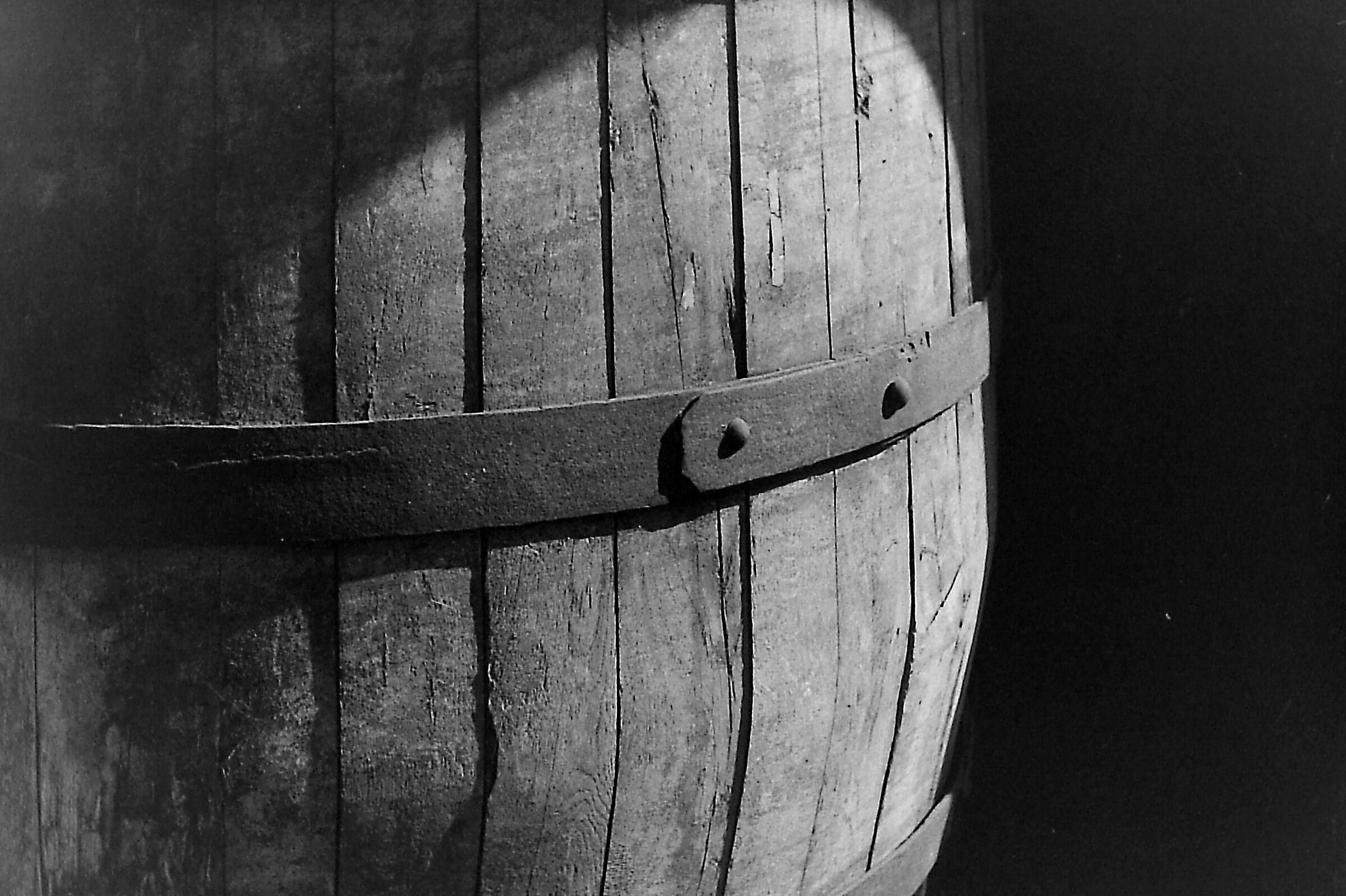 Botte - Nikon F Photomic - Washi A