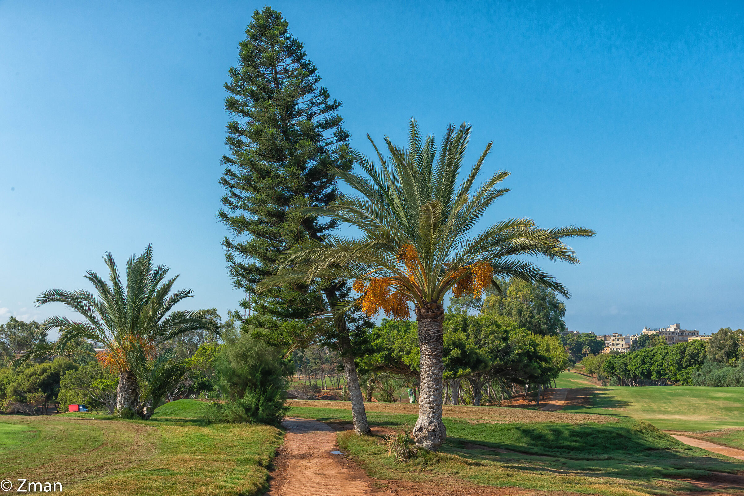 Il Golf Club Libanese