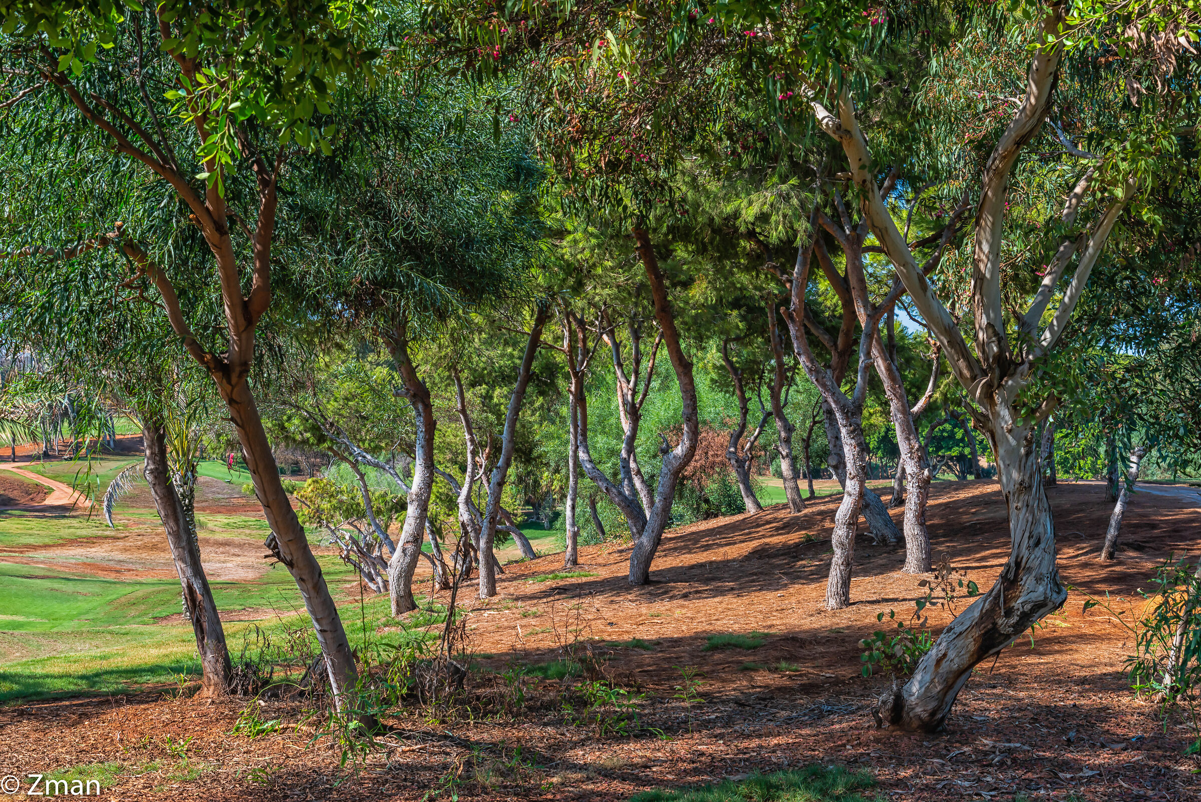 Il Golf Club Libanese