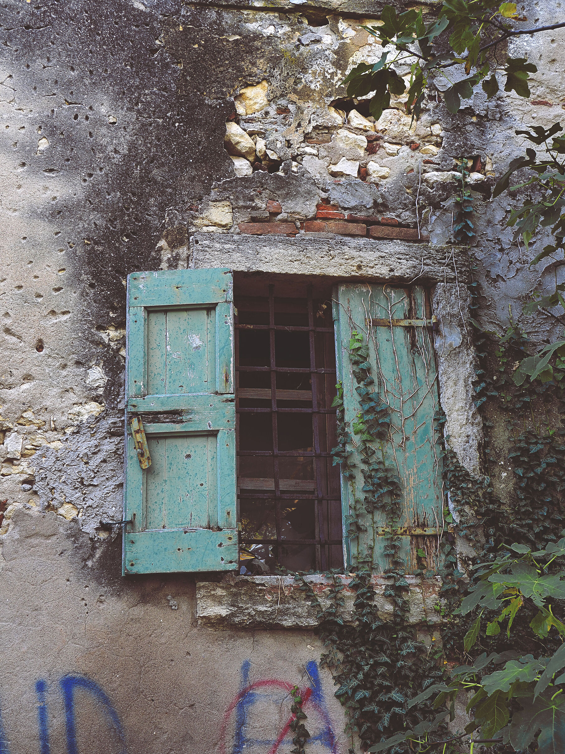 nostalgia for lived times