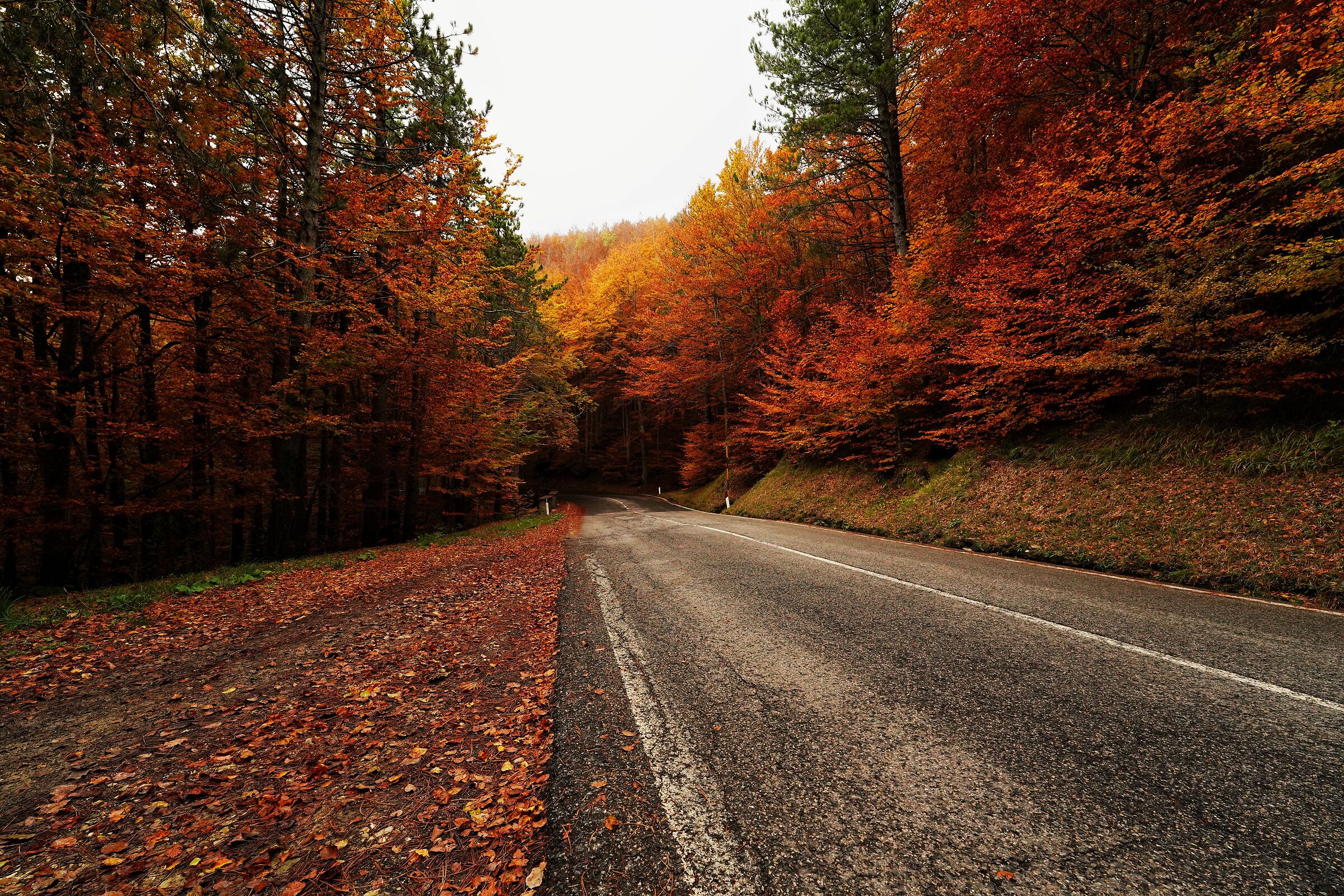 Highway to Autumn