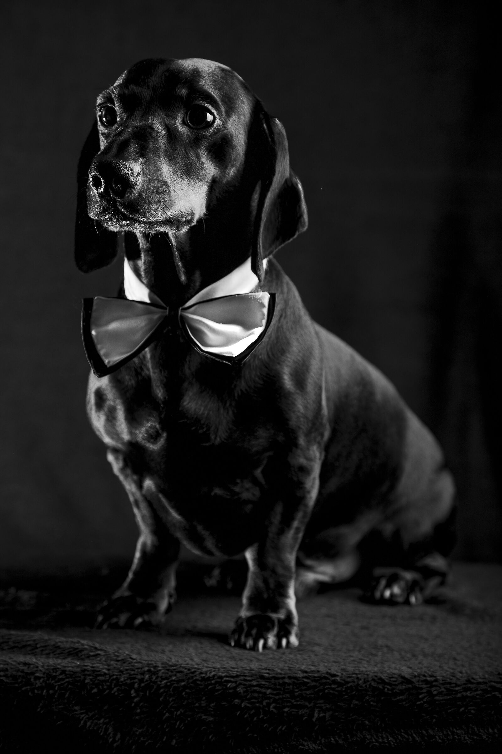 Black Totò
