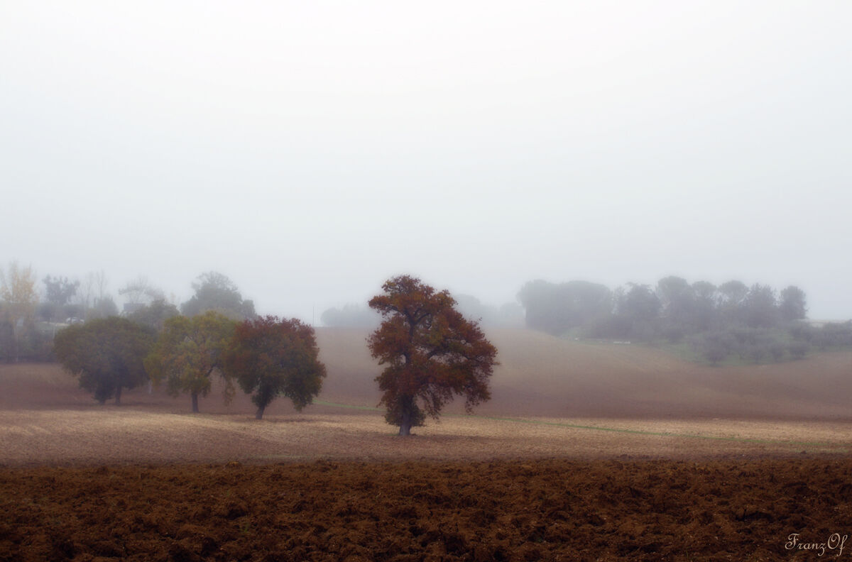 campagna a novembre