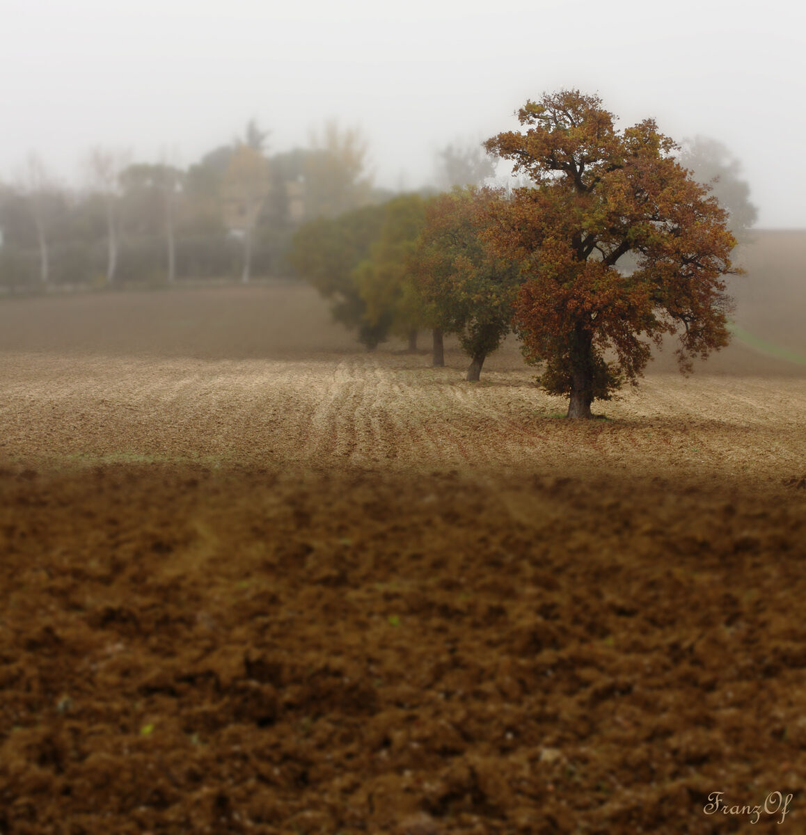 campagna a novembre