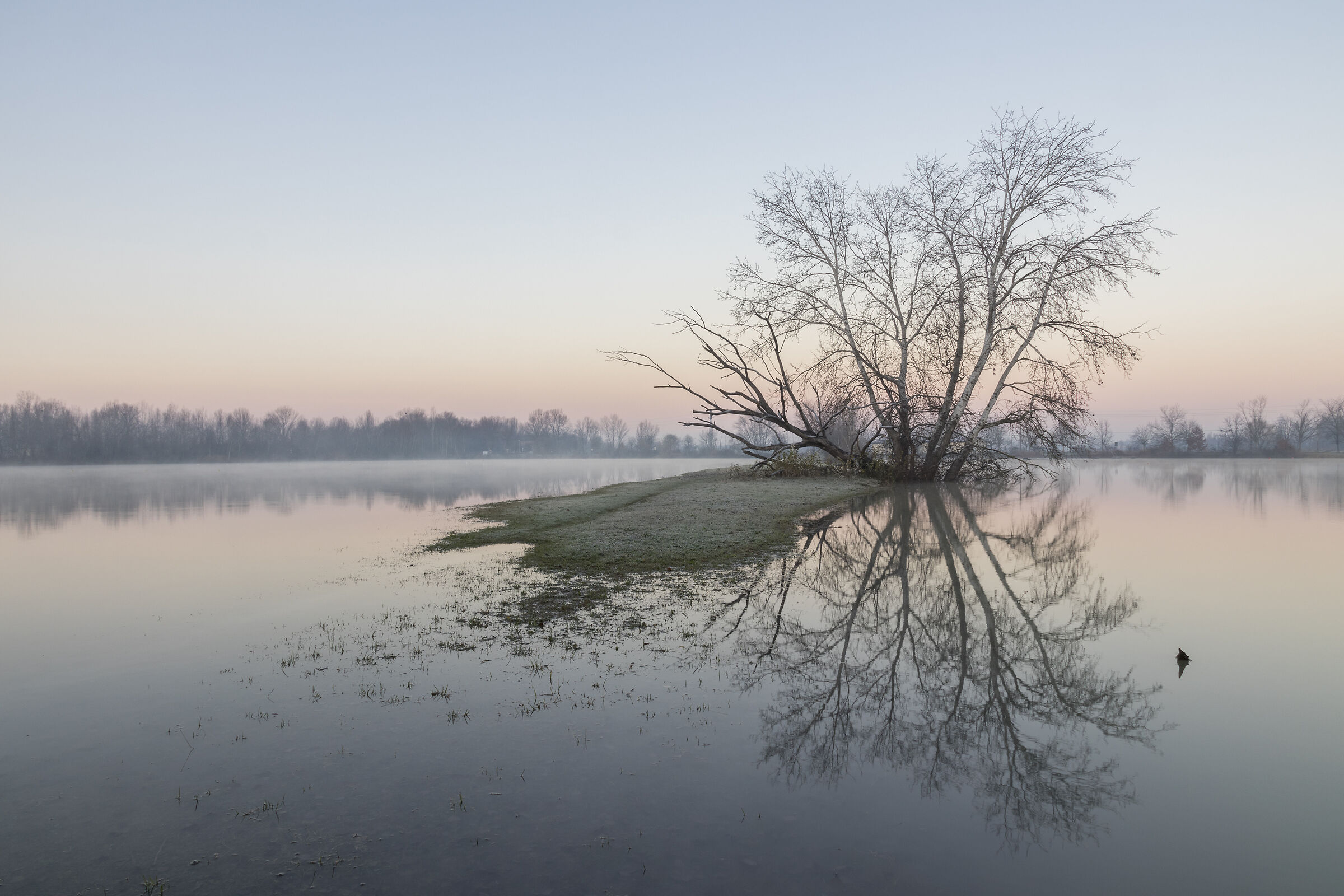 Secchia expansion box