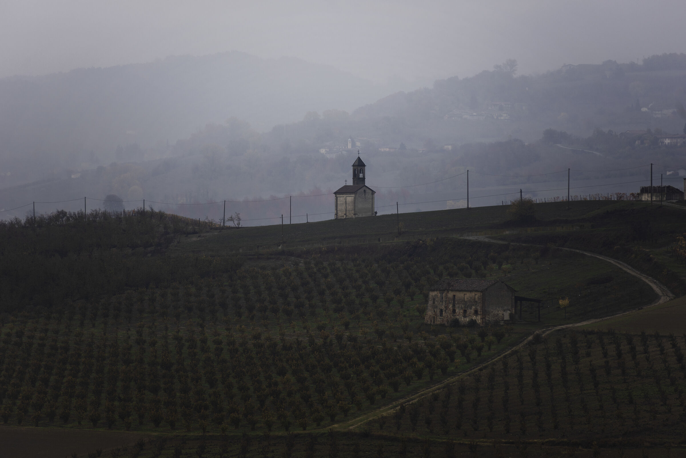 A grey autumn morning in the Langhe