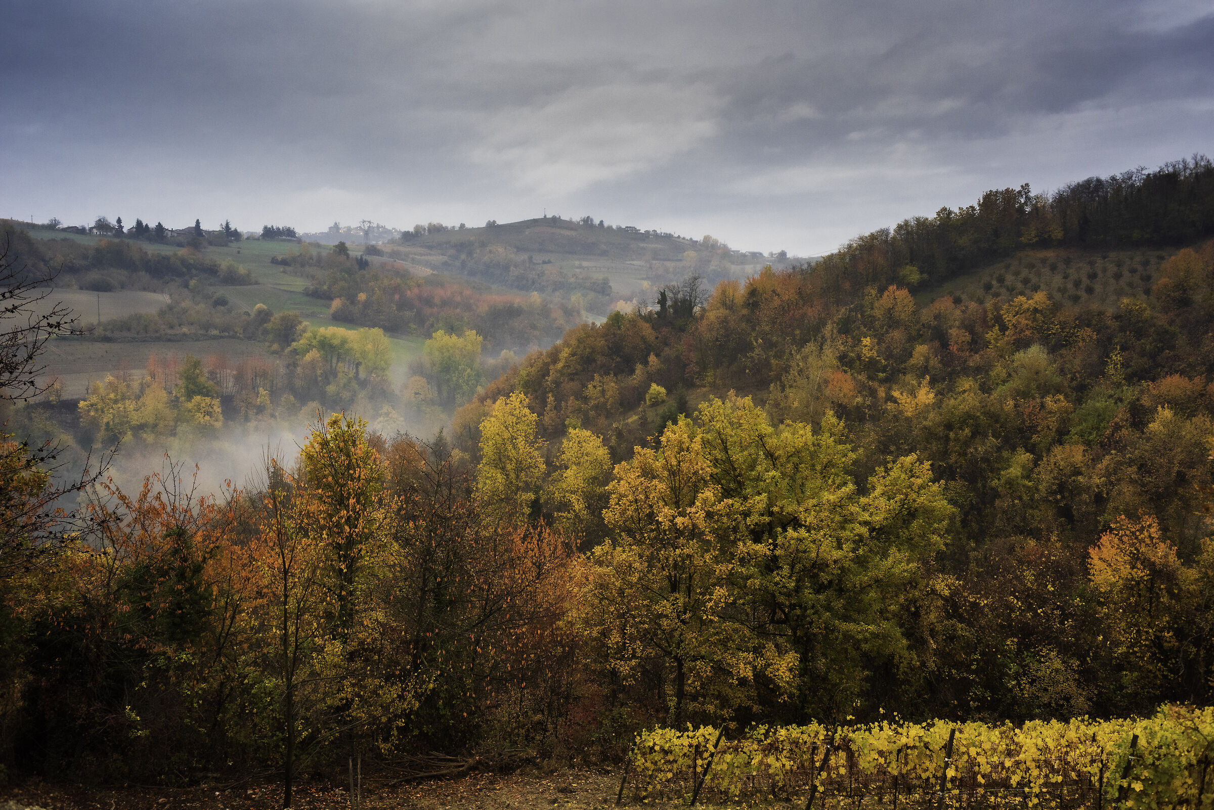 A grey autumn morning in the Langhe