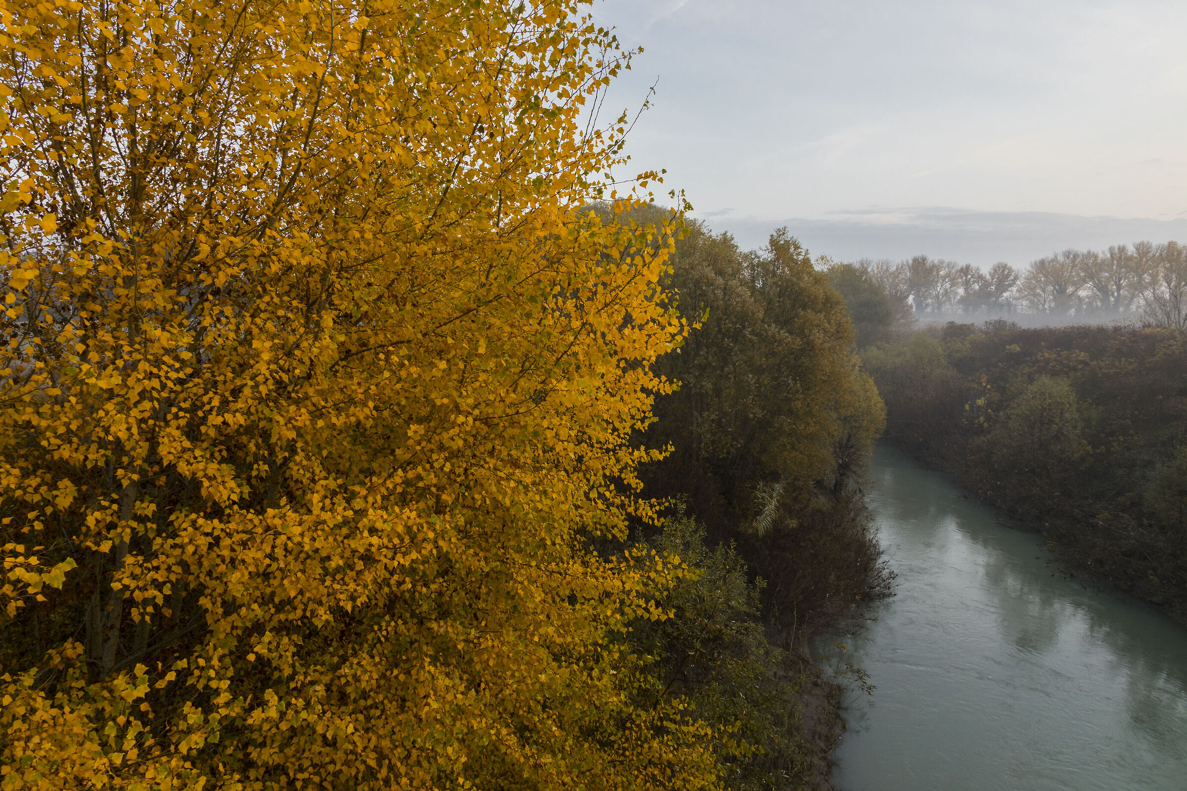 A November in grey and orange