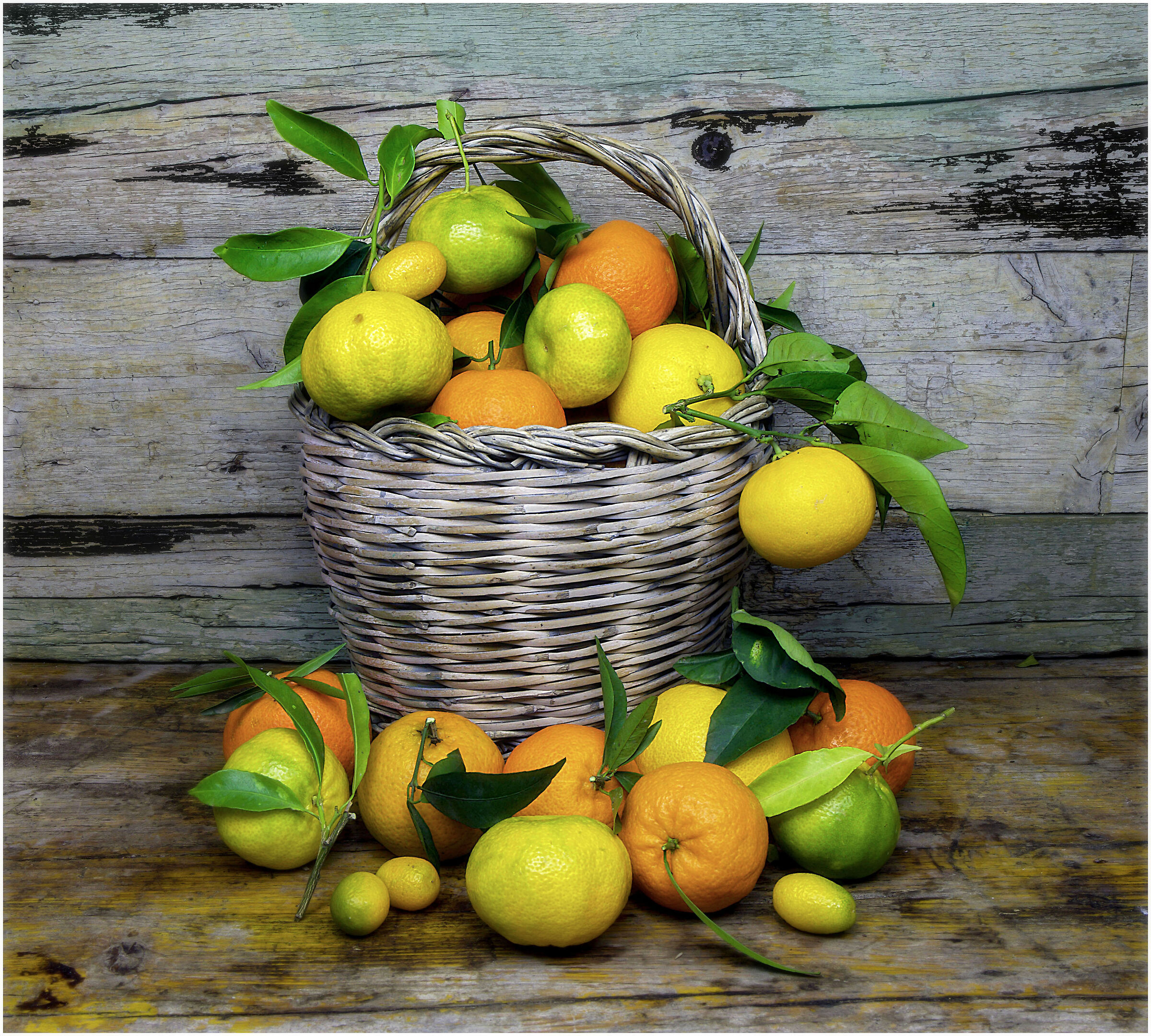 Citrus fruits
