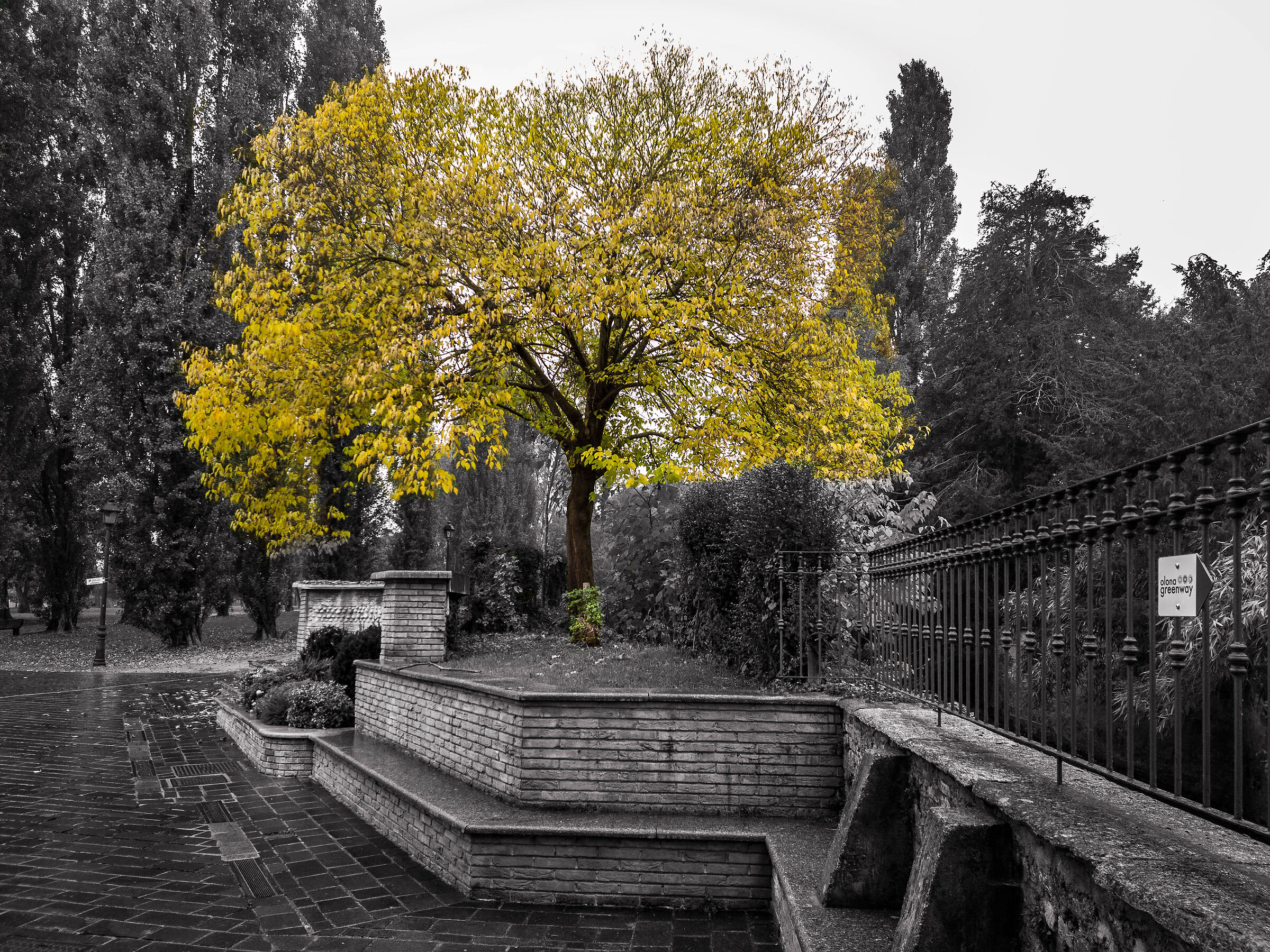 autumn