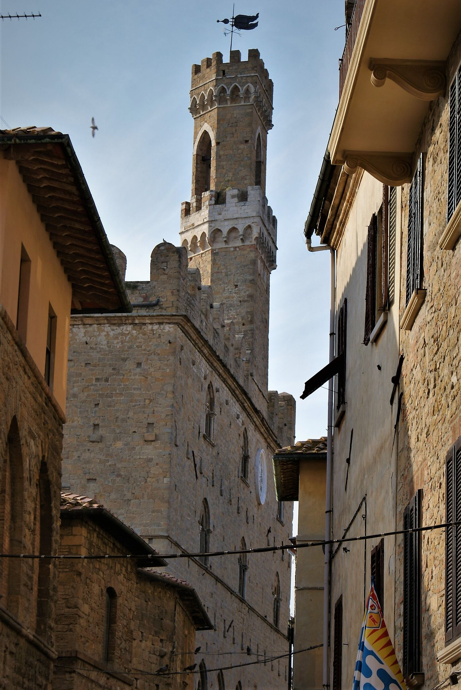 Volterra