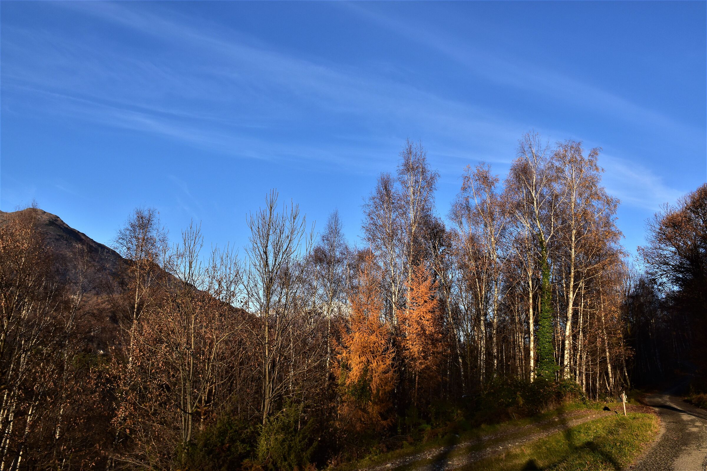 Autumn in Valchiusella