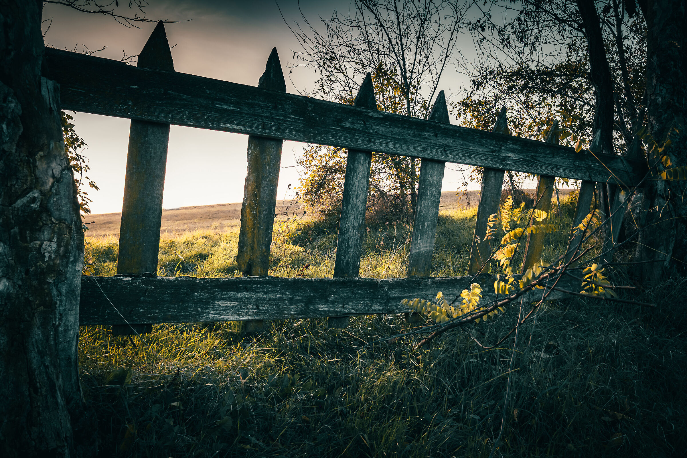 From here you do not pass