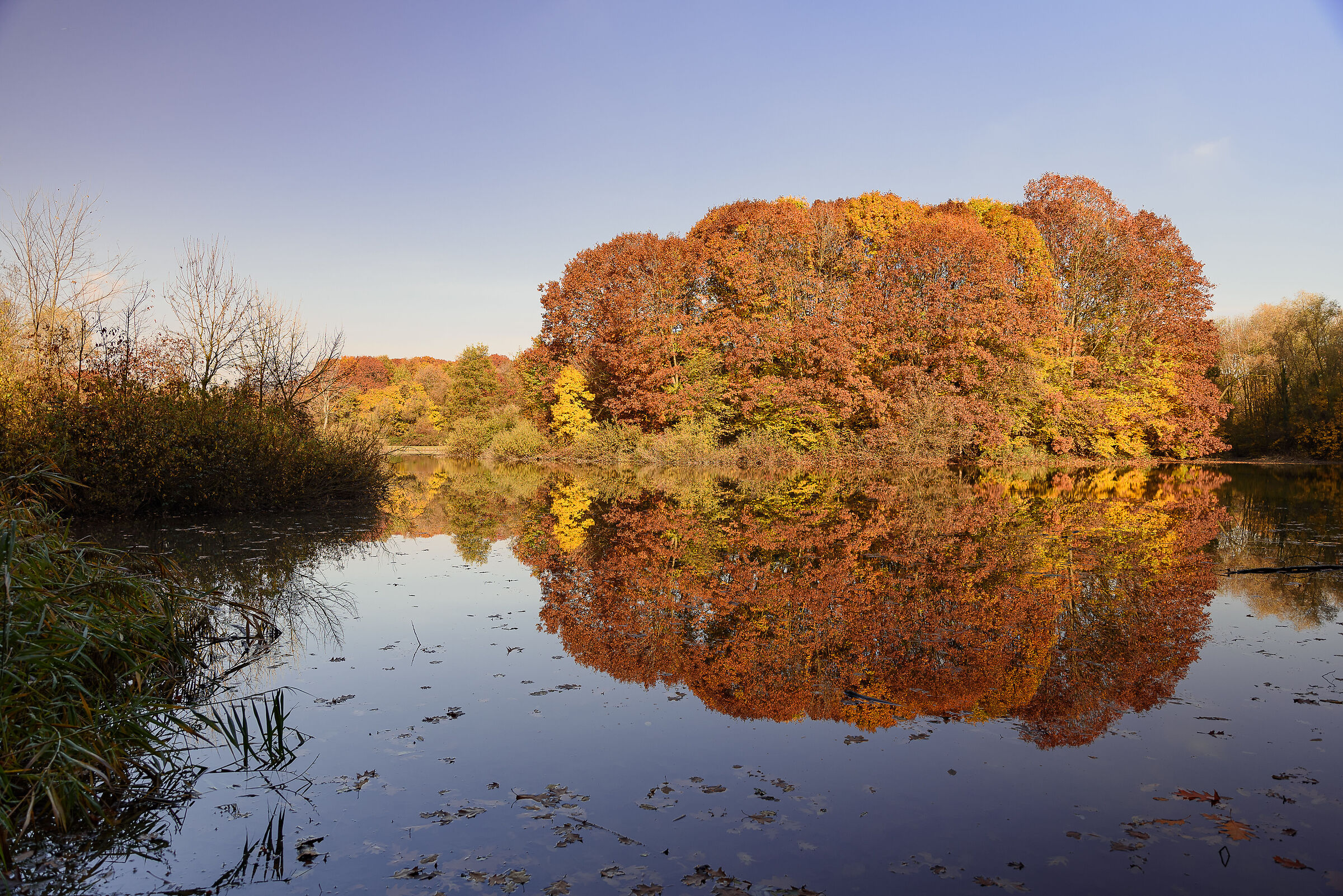 Bosco in Città, Milano #1
