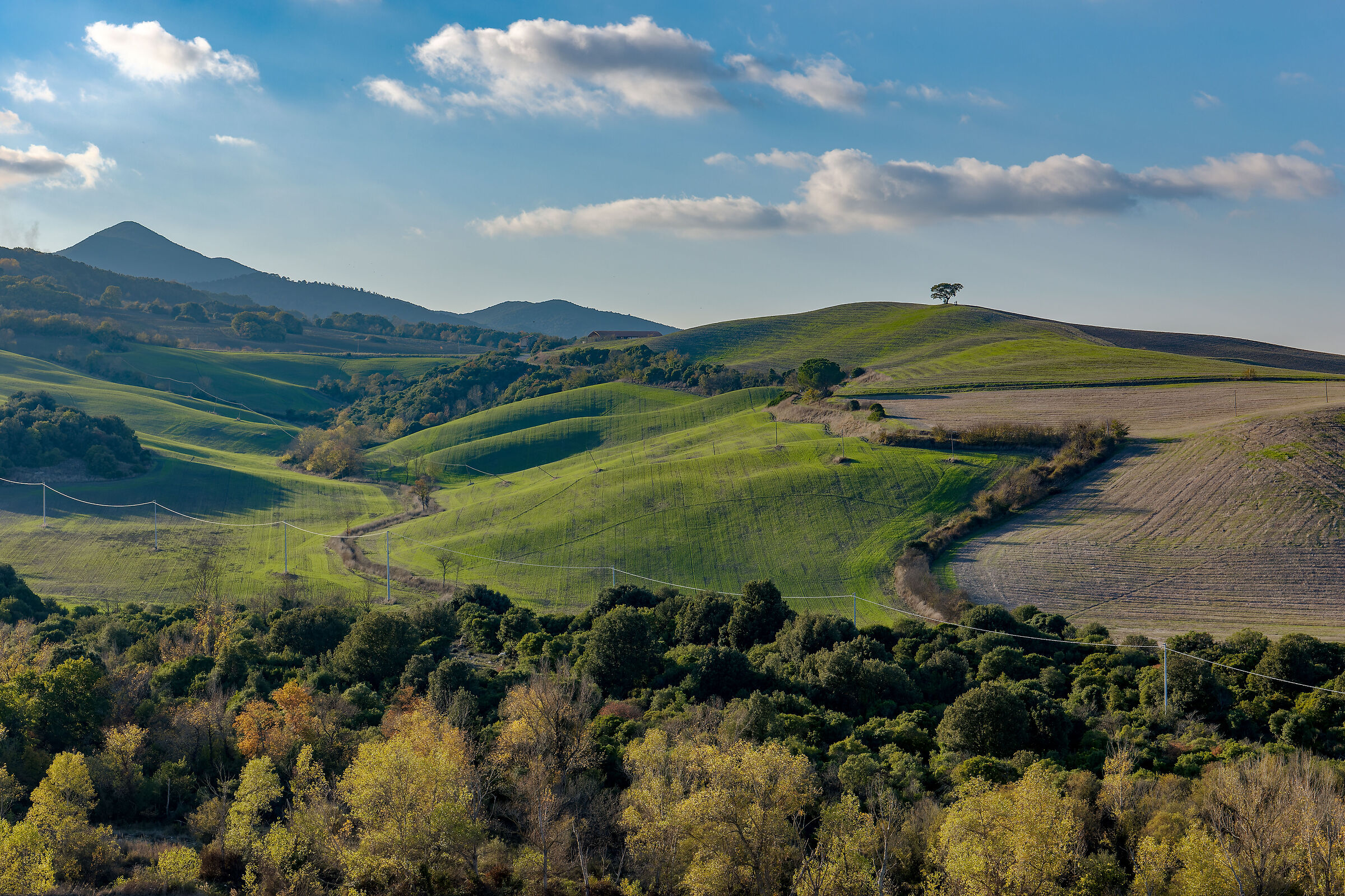 Tuscan countryside Pomarance Nov.21
