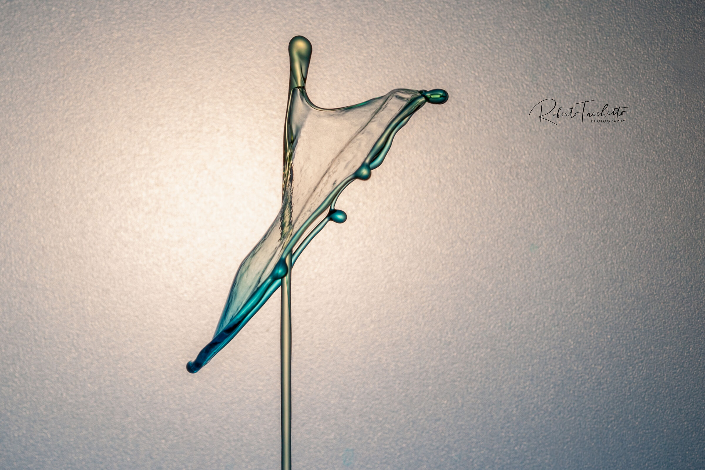 Untitled Photo