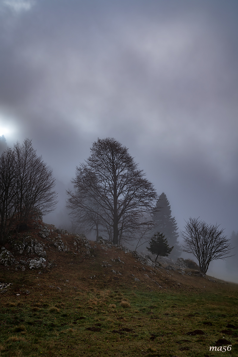 I faggi del Monte Baldo