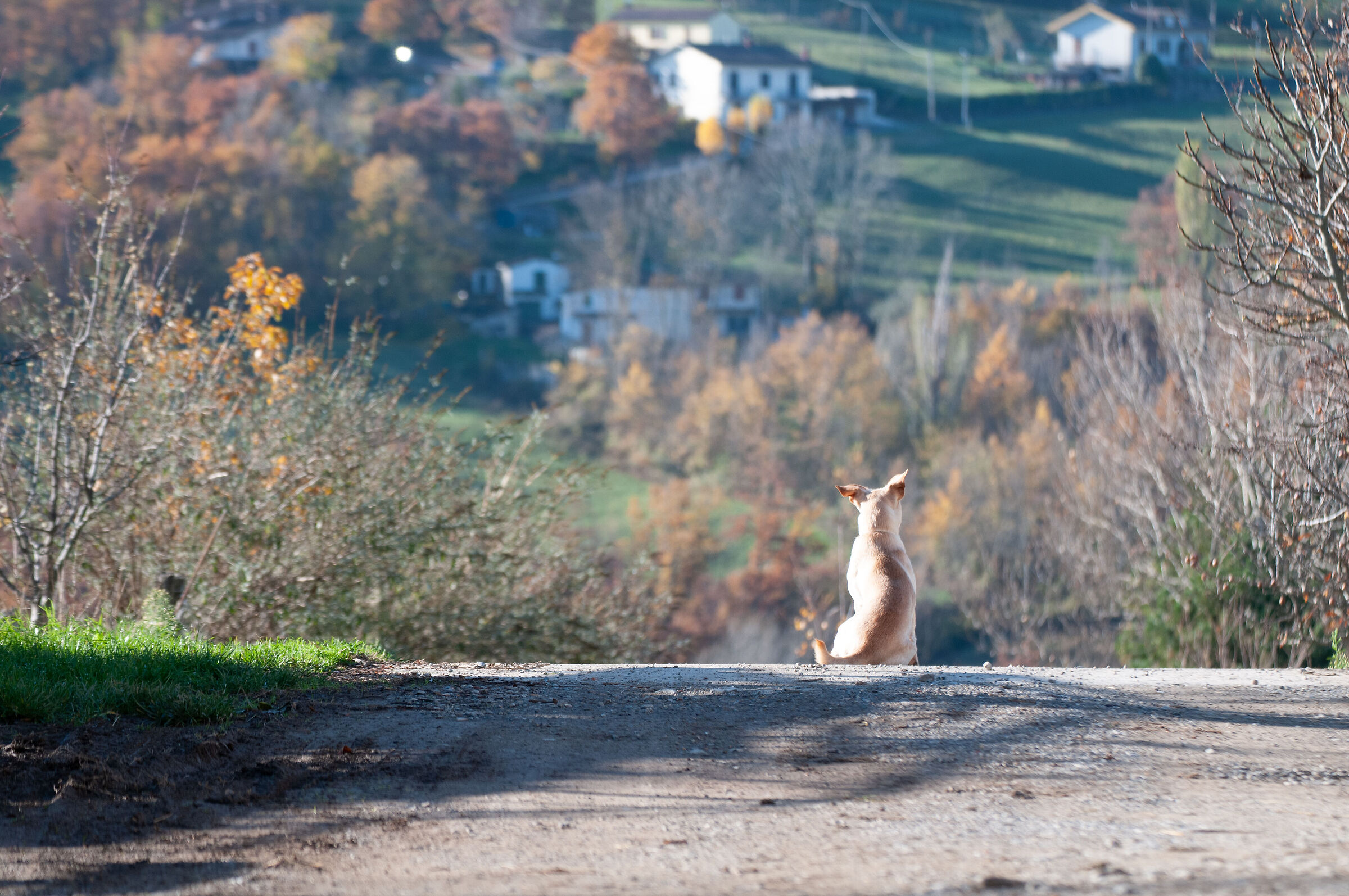 Everything under control