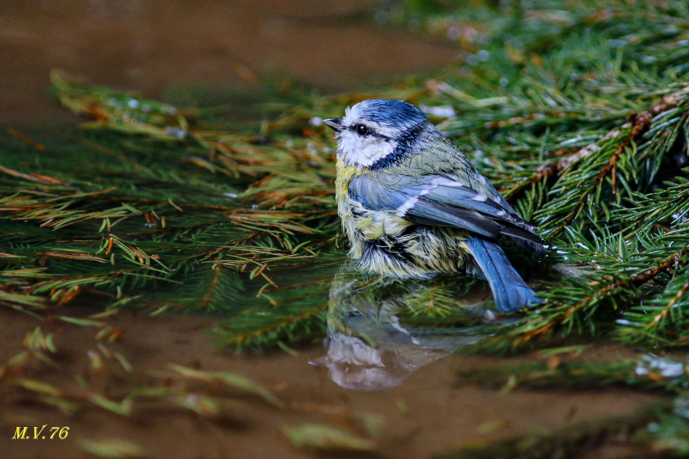 Riflessi....